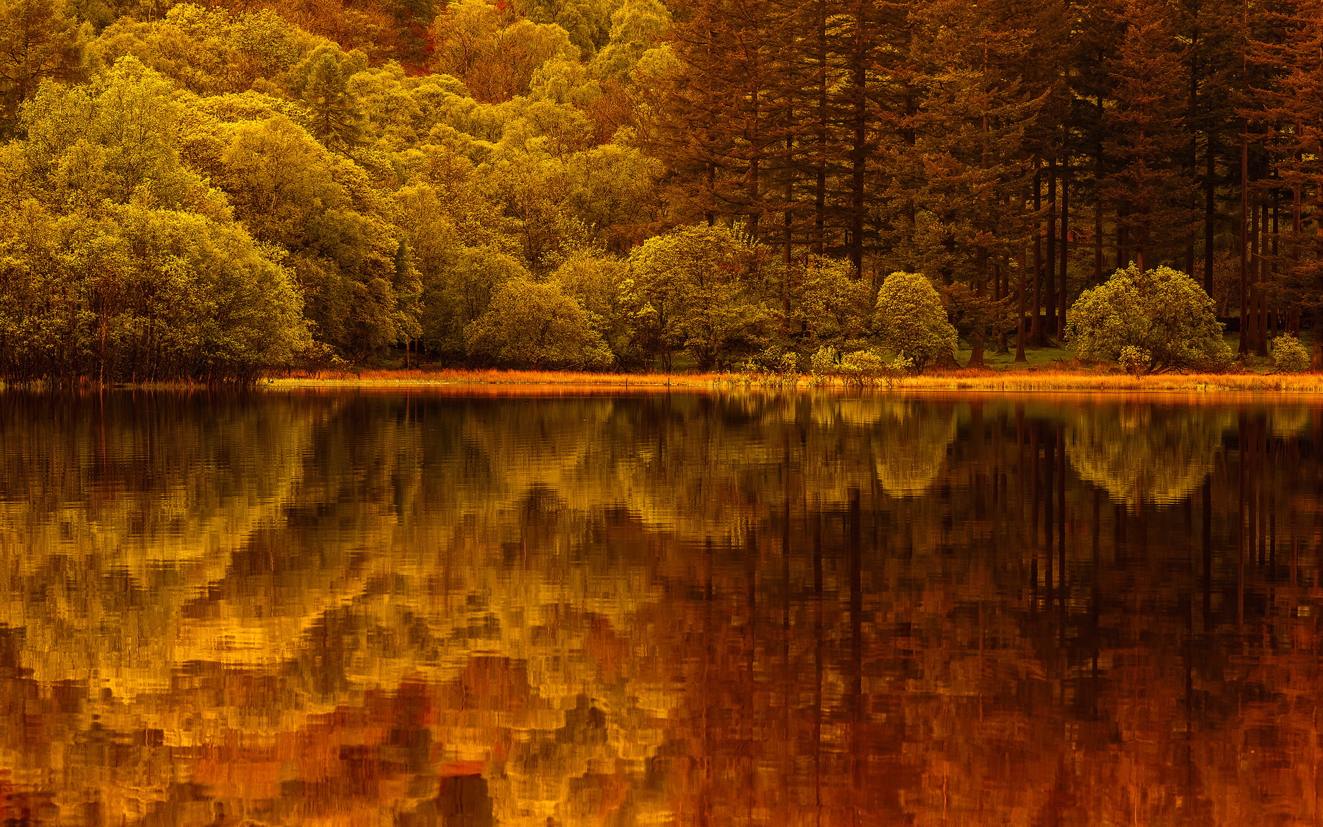 Осень отражение в воде