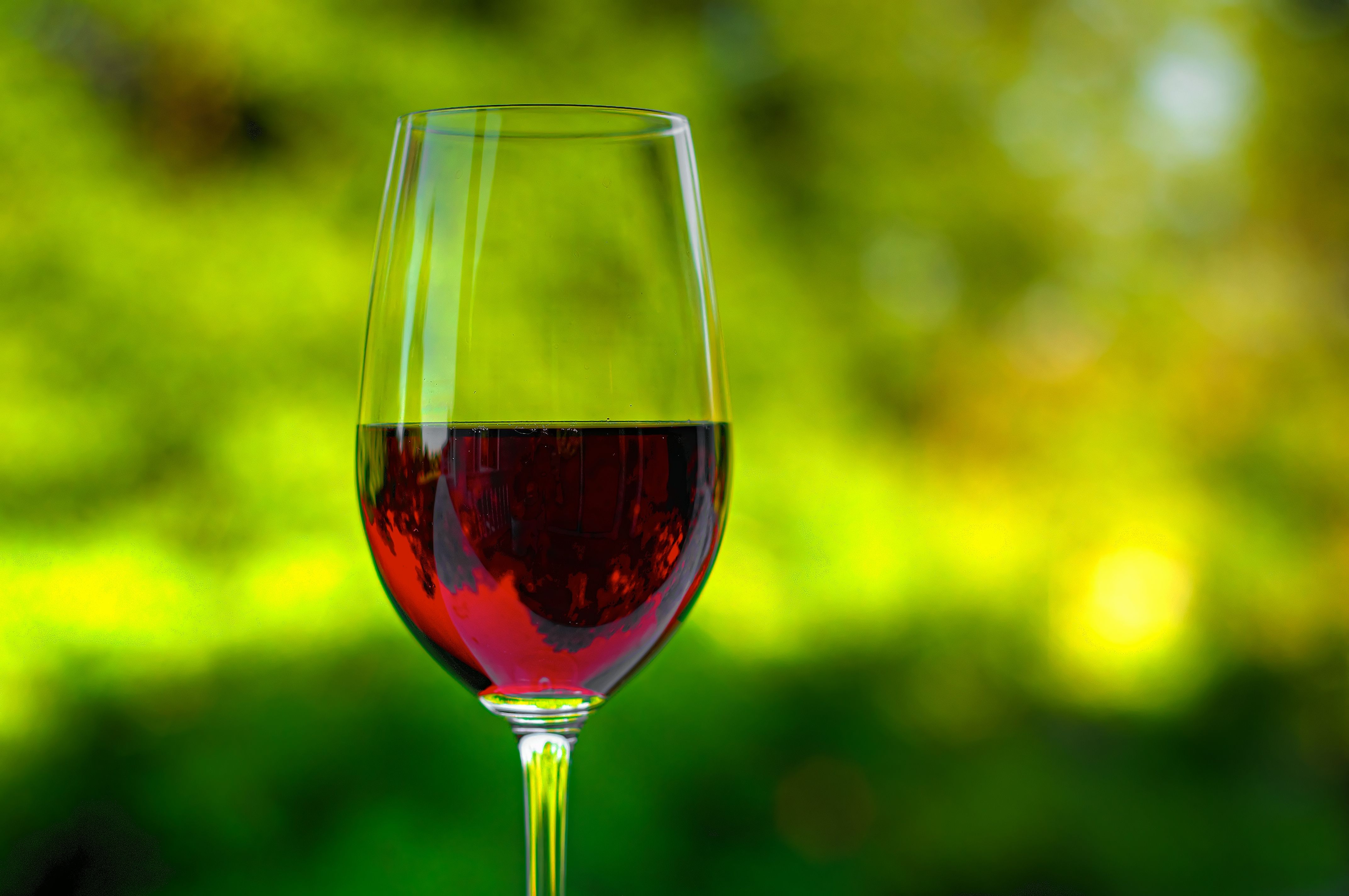 Вино говорит. Красное вино фото. Полифенолы. Интересное про вино. Растительные полифенолы.