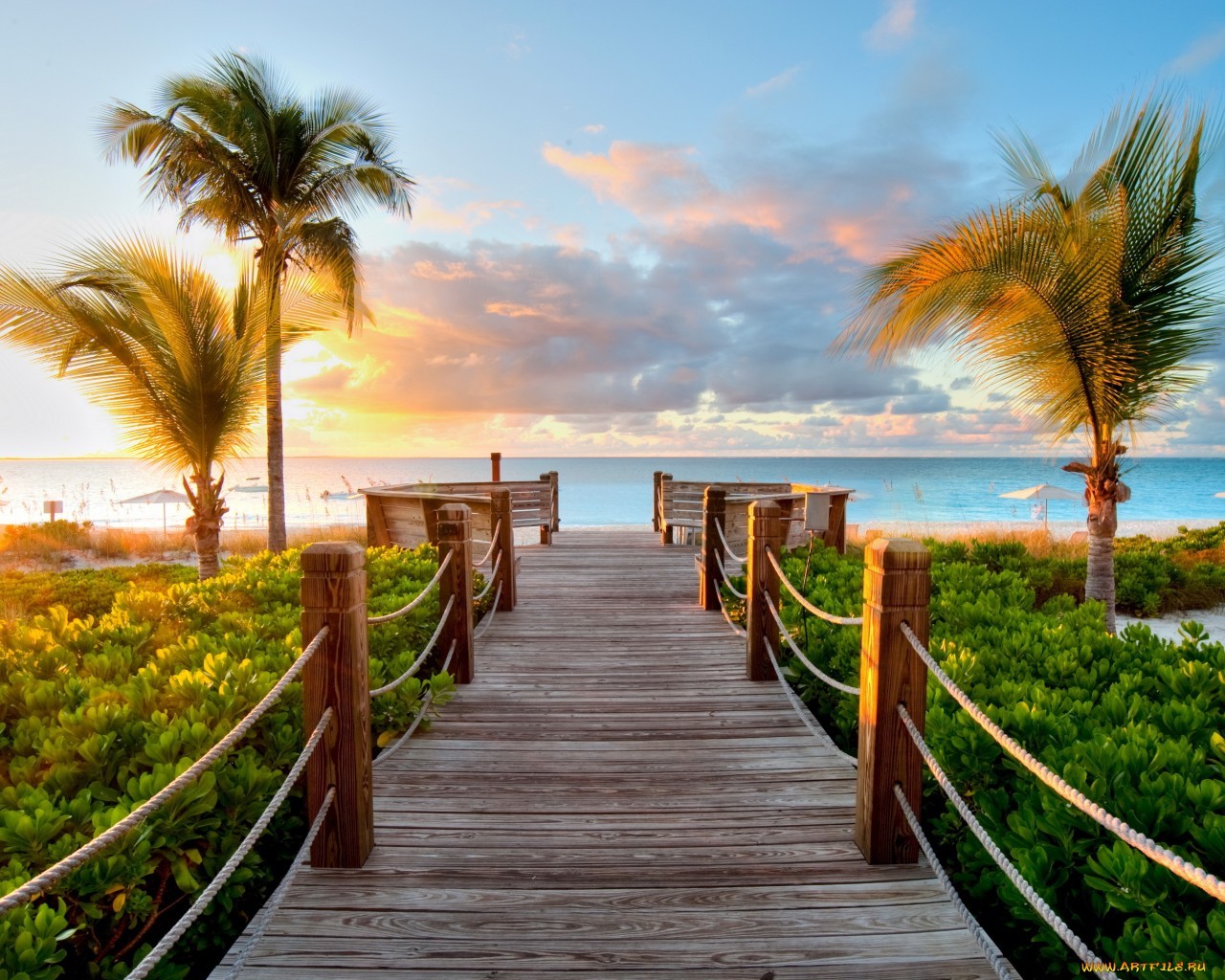 palms, sea, beach, landscape, sunset wallpaper for mobile