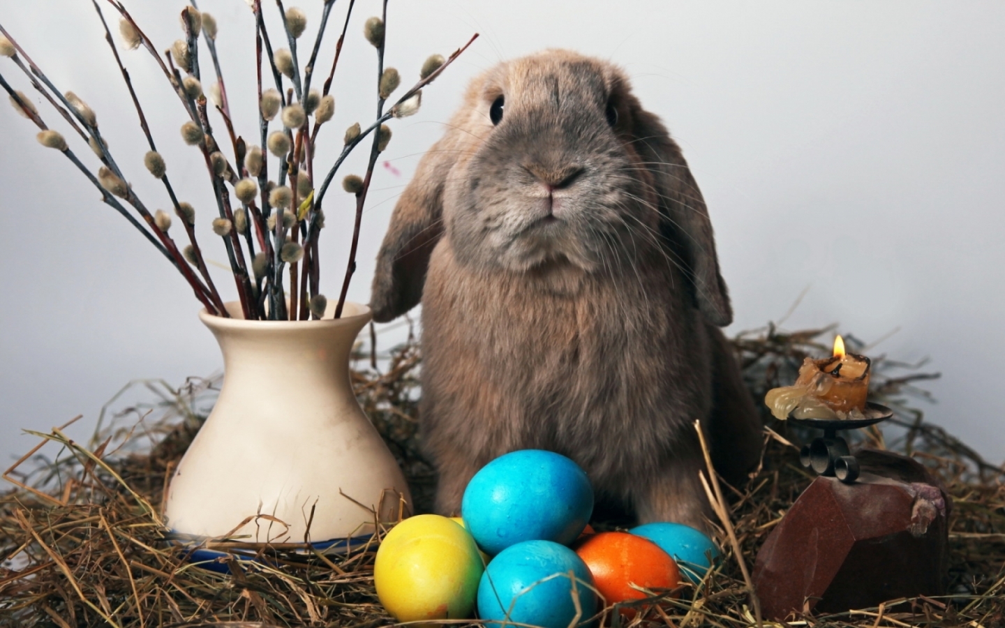 Lock Screen PC Wallpaper animals, holidays, rabbits