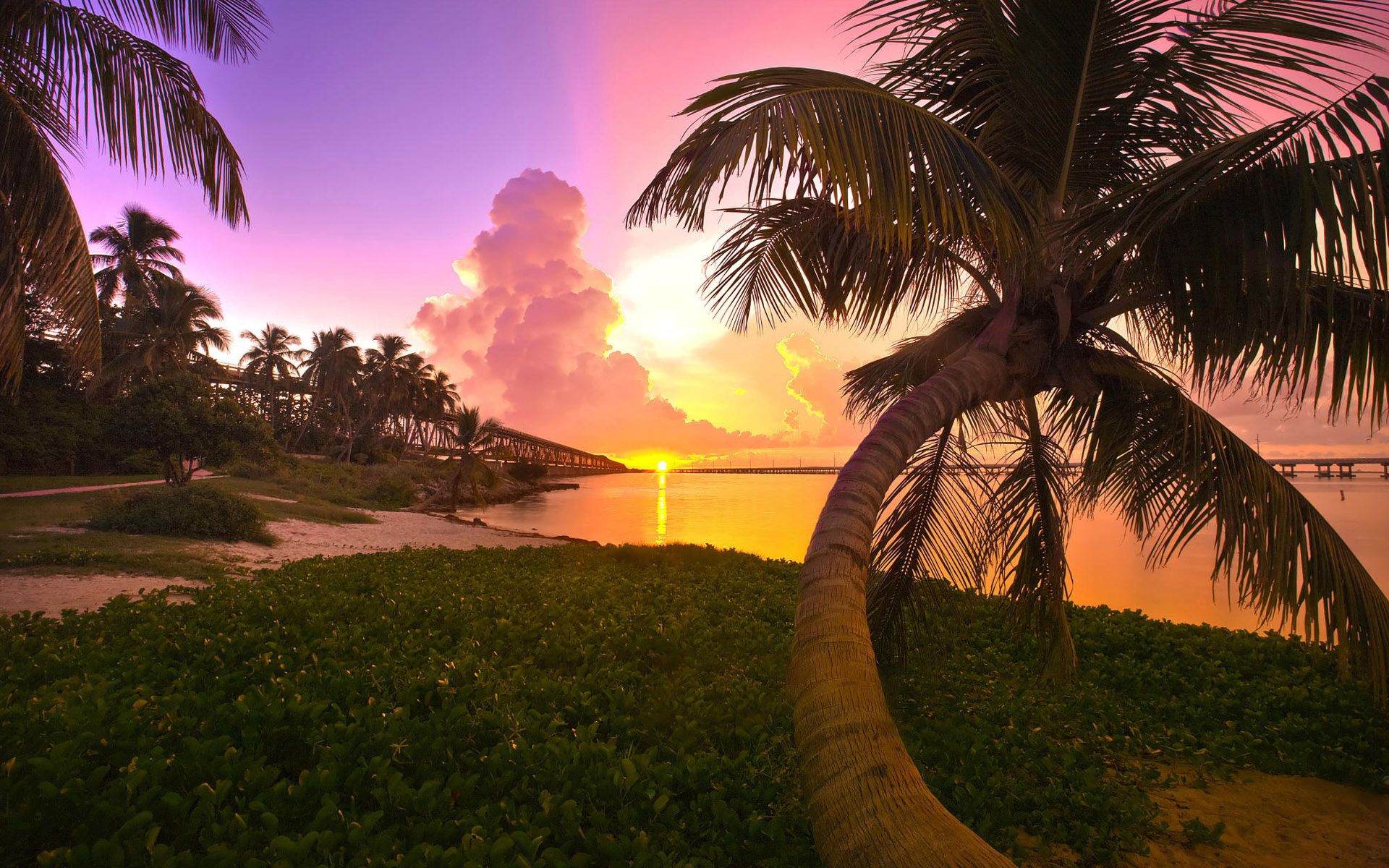 110898 descargar imagen paisaje, puesta del sol, naturaleza, mar, palms: fondos de pantalla y protectores de pantalla gratis