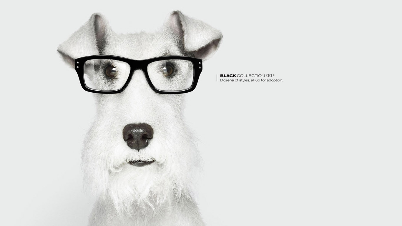 Реклама с изображением животных