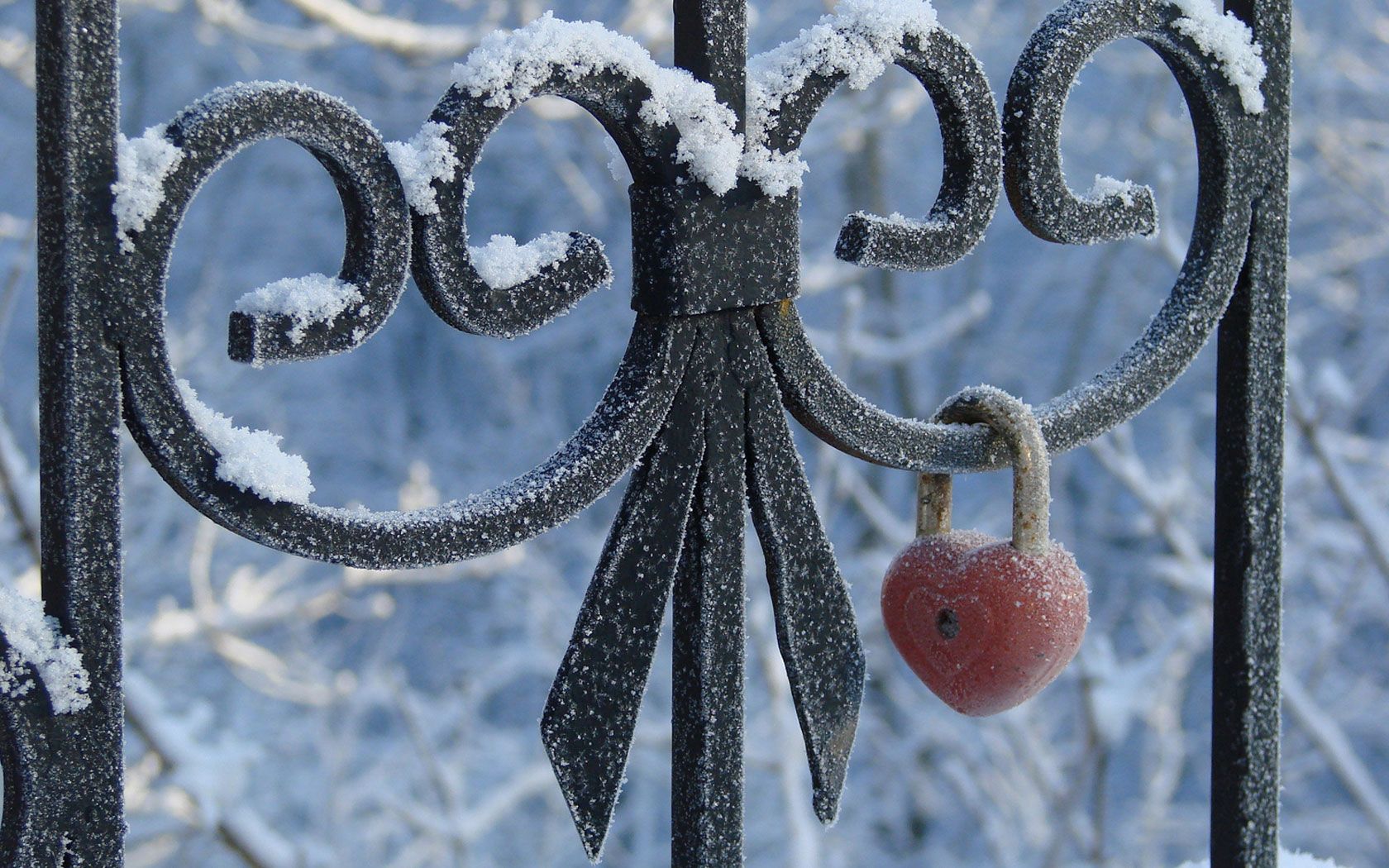 Laden Sie das Zaun, Herzen, Sperren, Ein Herz, Kreativ, Schnee, Liebe-Bild kostenlos auf Ihren PC-Desktop herunter