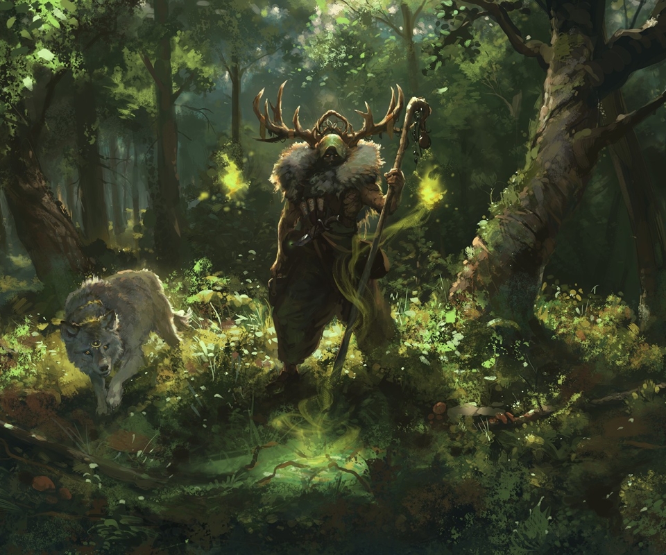 fantasy, druid, wolf Phone Background