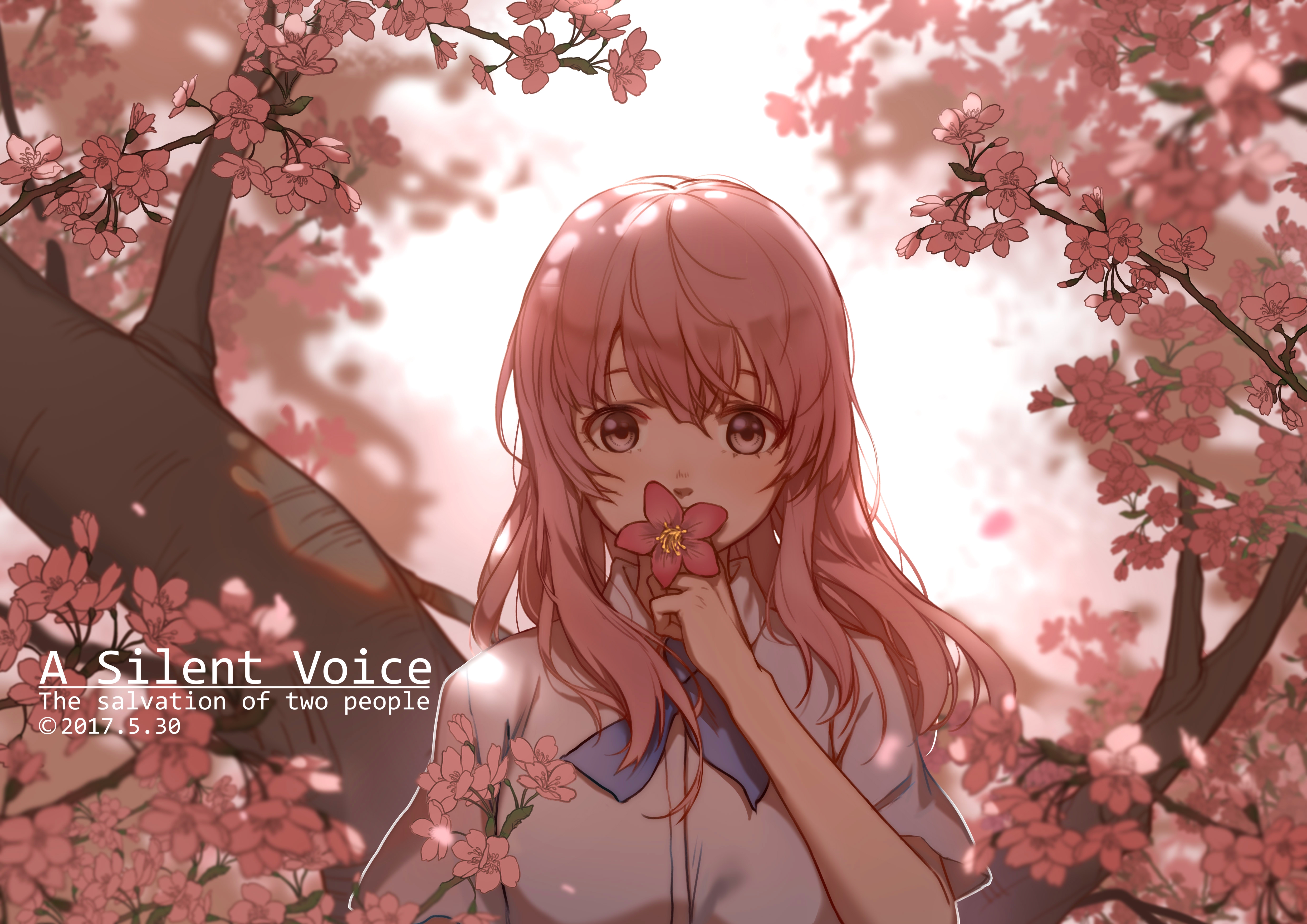 shouko nishimiya, anime, koe no katachi, cherry blossom, pink hair phone background
