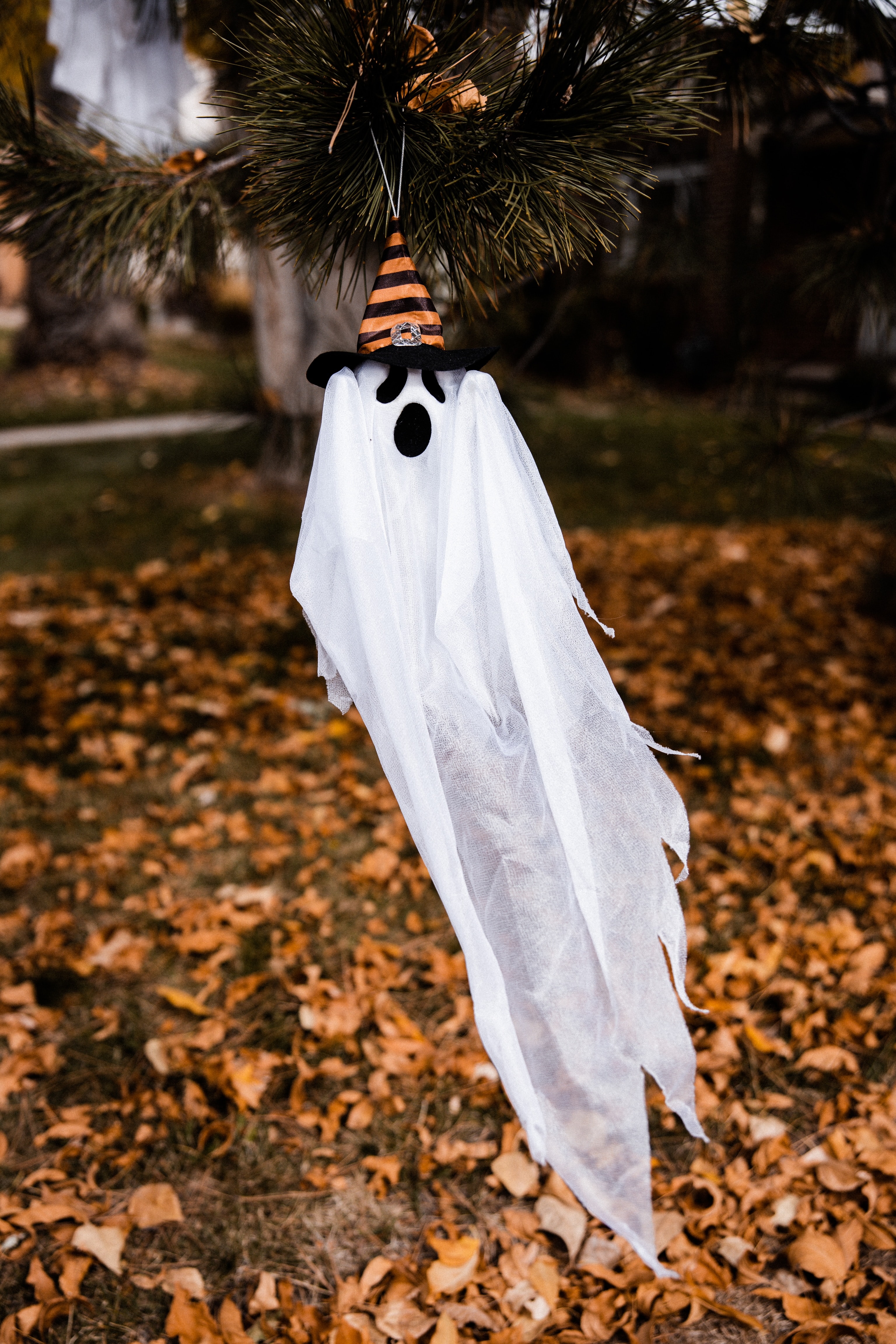 holidays, halloween, autumn, holiday, hat, ghost download HD wallpaper