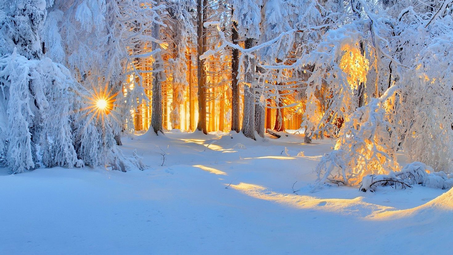 Картинка зимний период. Зима снег. Сказочная зима. Зимний лес. Зимняя природа.