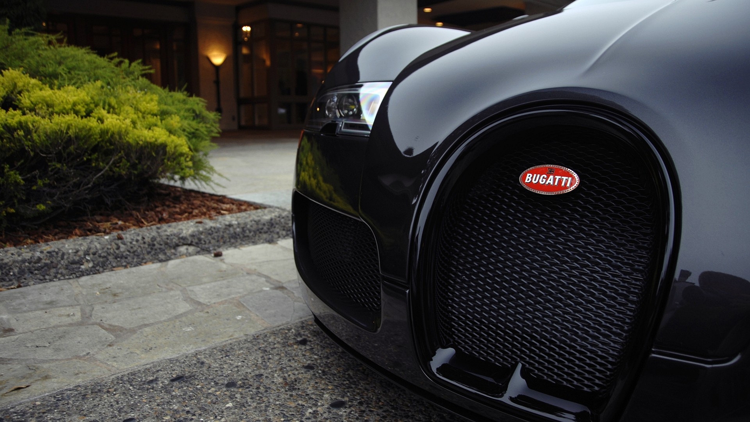 Bugatti black. Бугатти Вейрон черная. Бугатти Вейрон черная матовая. Bugatti Veyron 2012 Black.