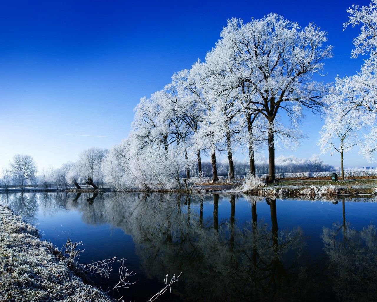 137706 Hintergrundbild herunterladen flüsse, winter, natur, bäume, reflexion, frost, rauhreif - Bildschirmschoner und Bilder kostenlos