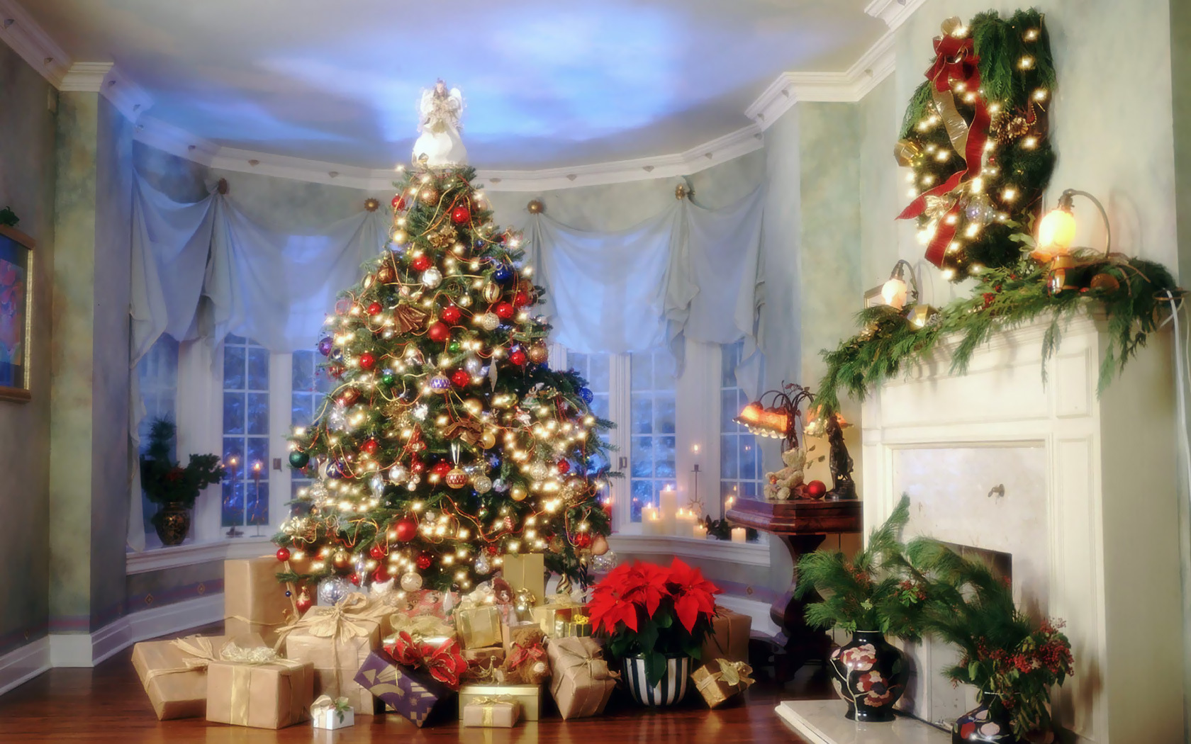 holidays, new year, fir trees, christmas xmas, postcards