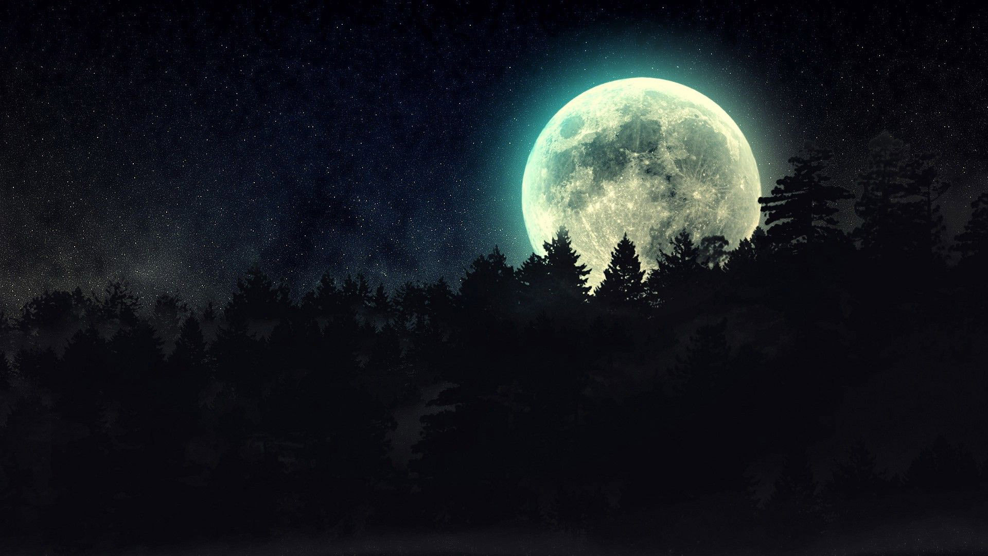 Free download wallpaper Night, Moon, Dark, Silhouette, Forest, Earth on your PC desktop