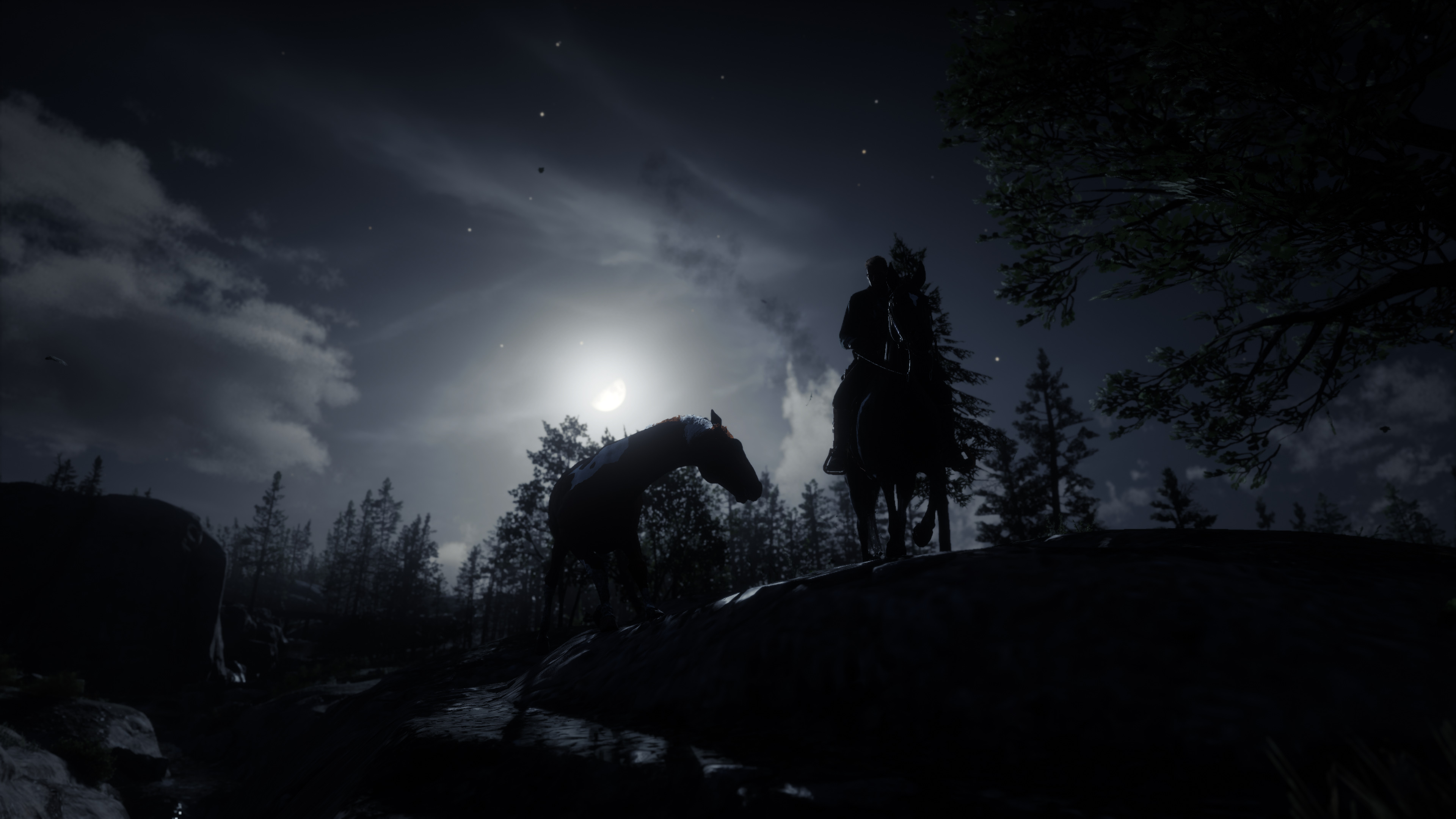 Download Nighttime Red Dead Redemption Ii Phone Wallpaper