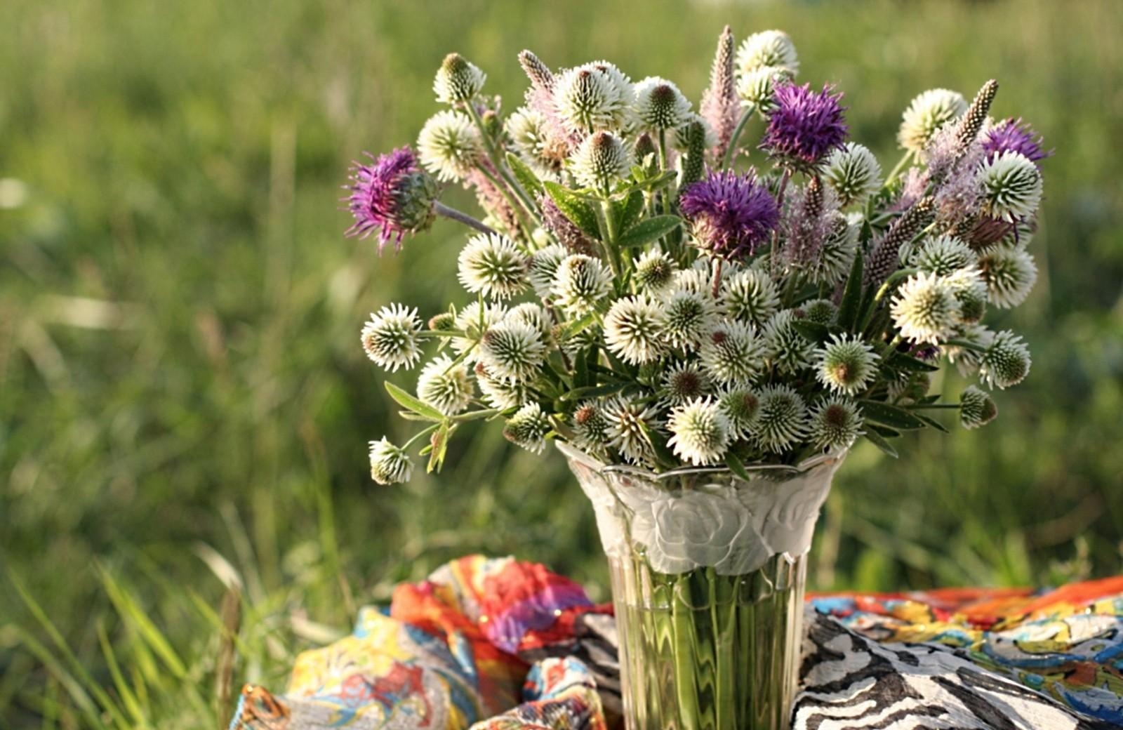 Download mobile wallpaper Bouquet, Field, Thistle, Clover, Flowers, Vase for free.