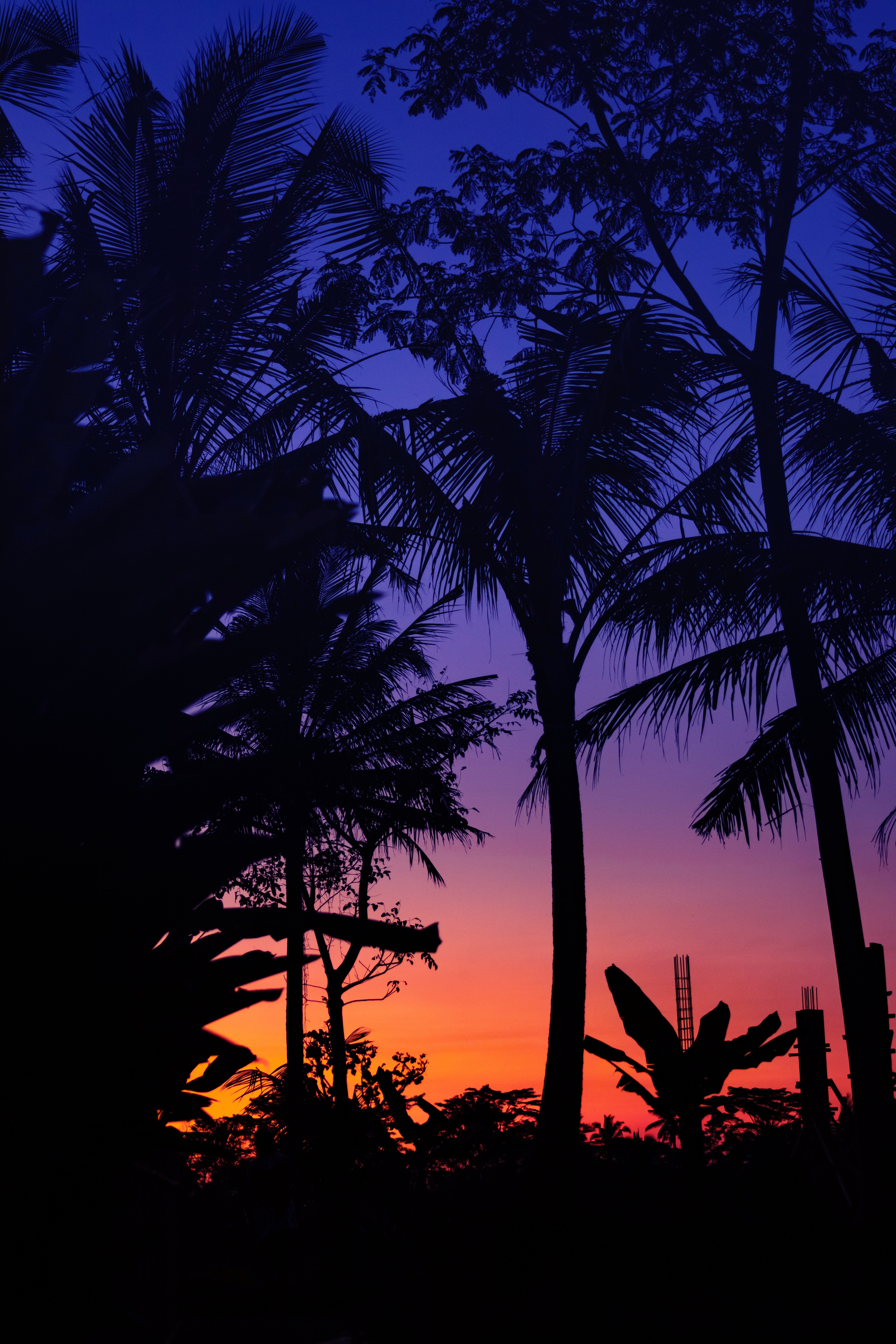 sunset, dark, silhouettes, twilight, palms, dusk HD wallpaper