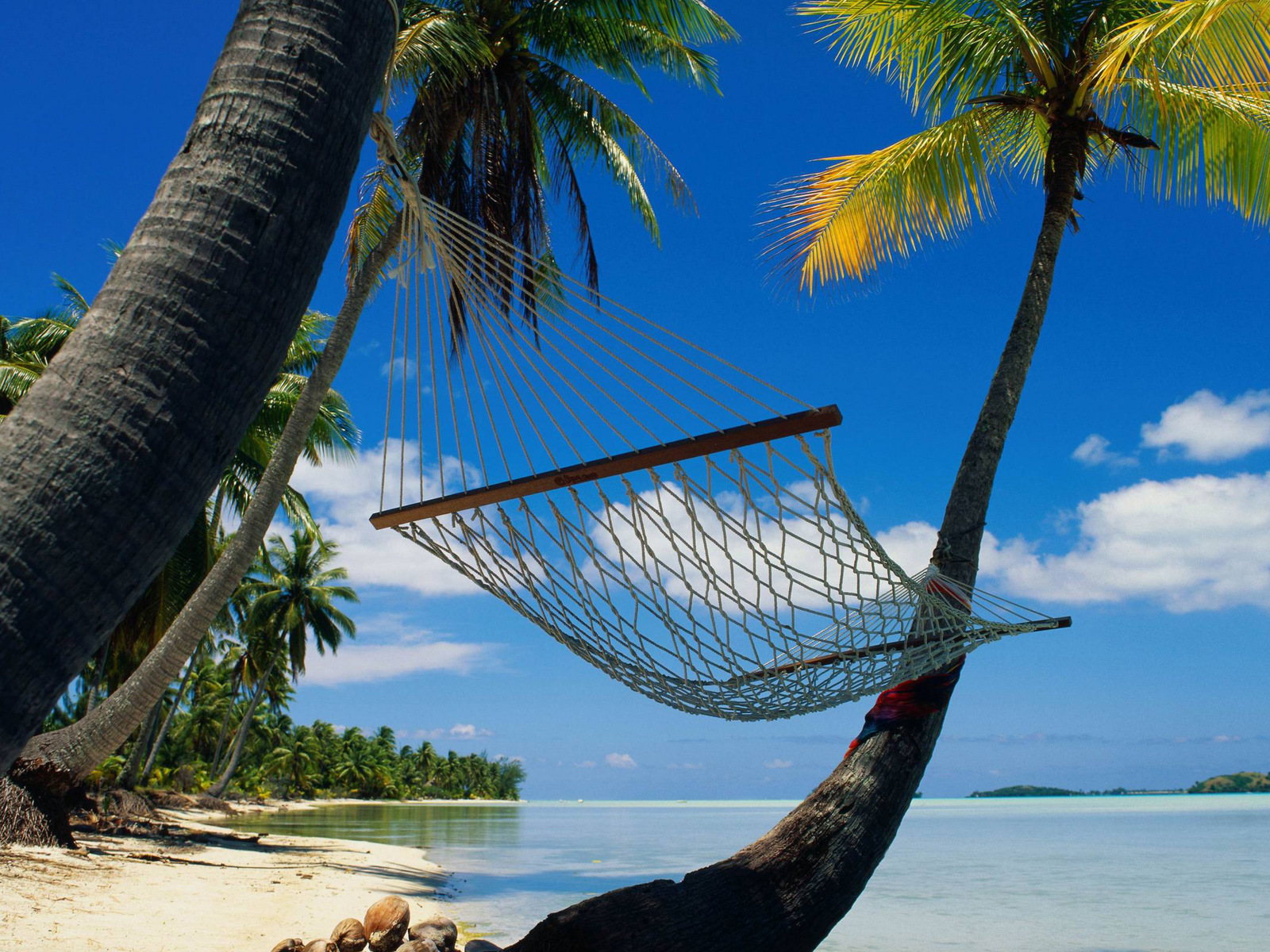 Free download wallpaper Landscape, Palms, Sea, Beach on your PC desktop