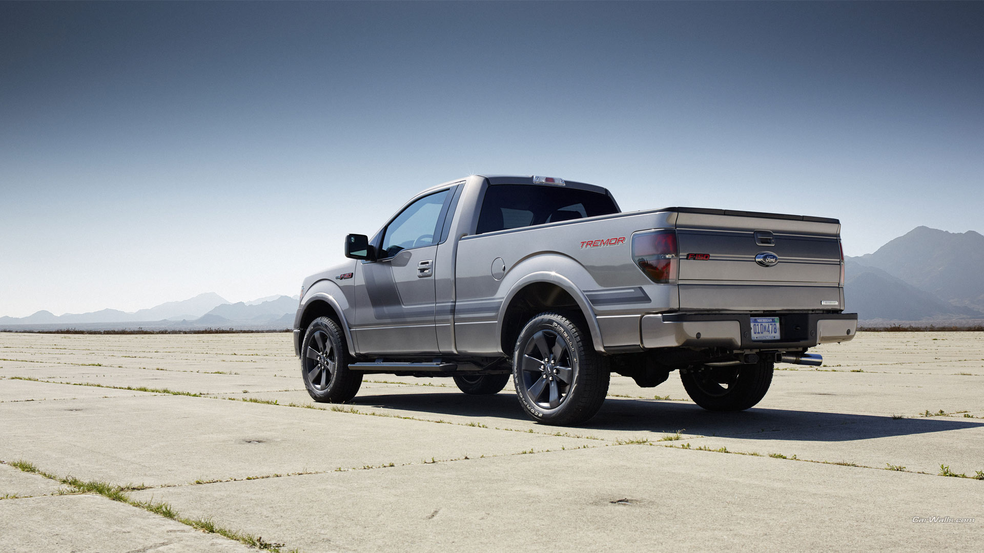 Ford f 150 IX