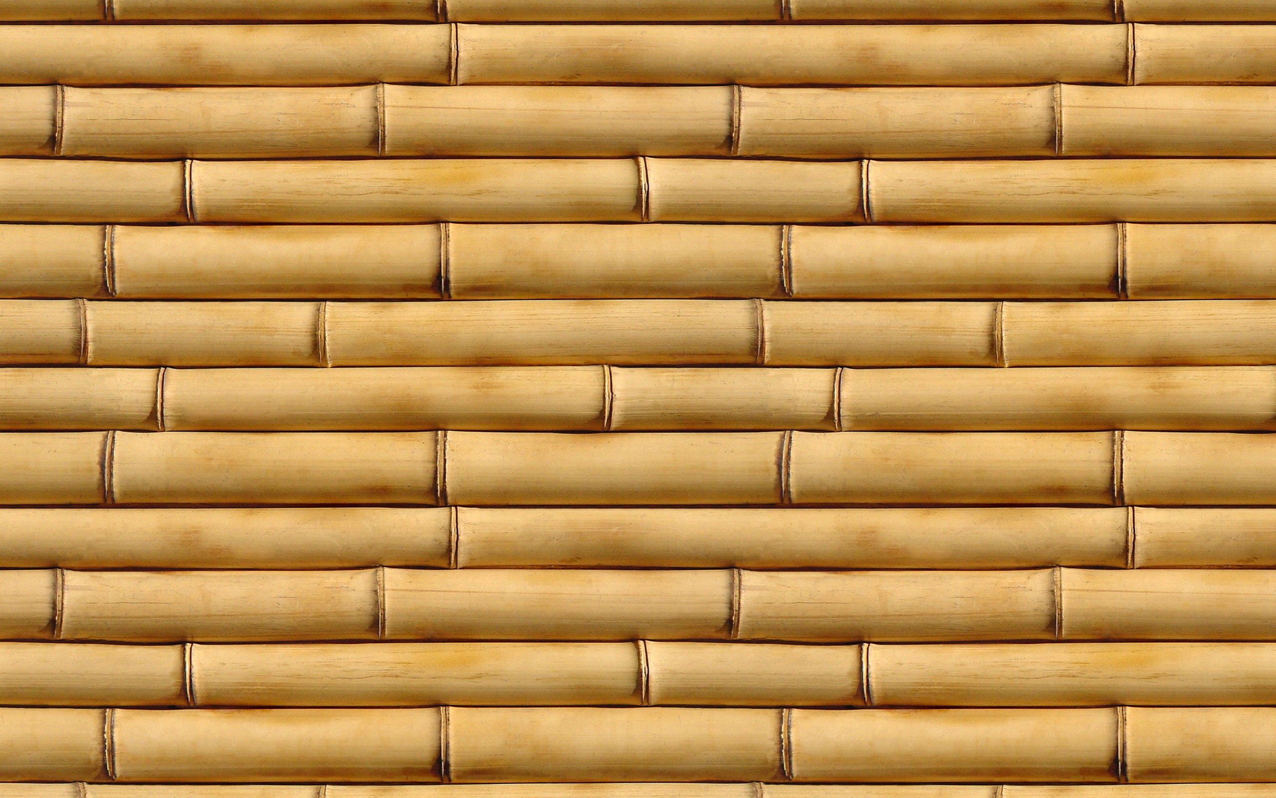 Newest Mobile Wallpaper Bamboo