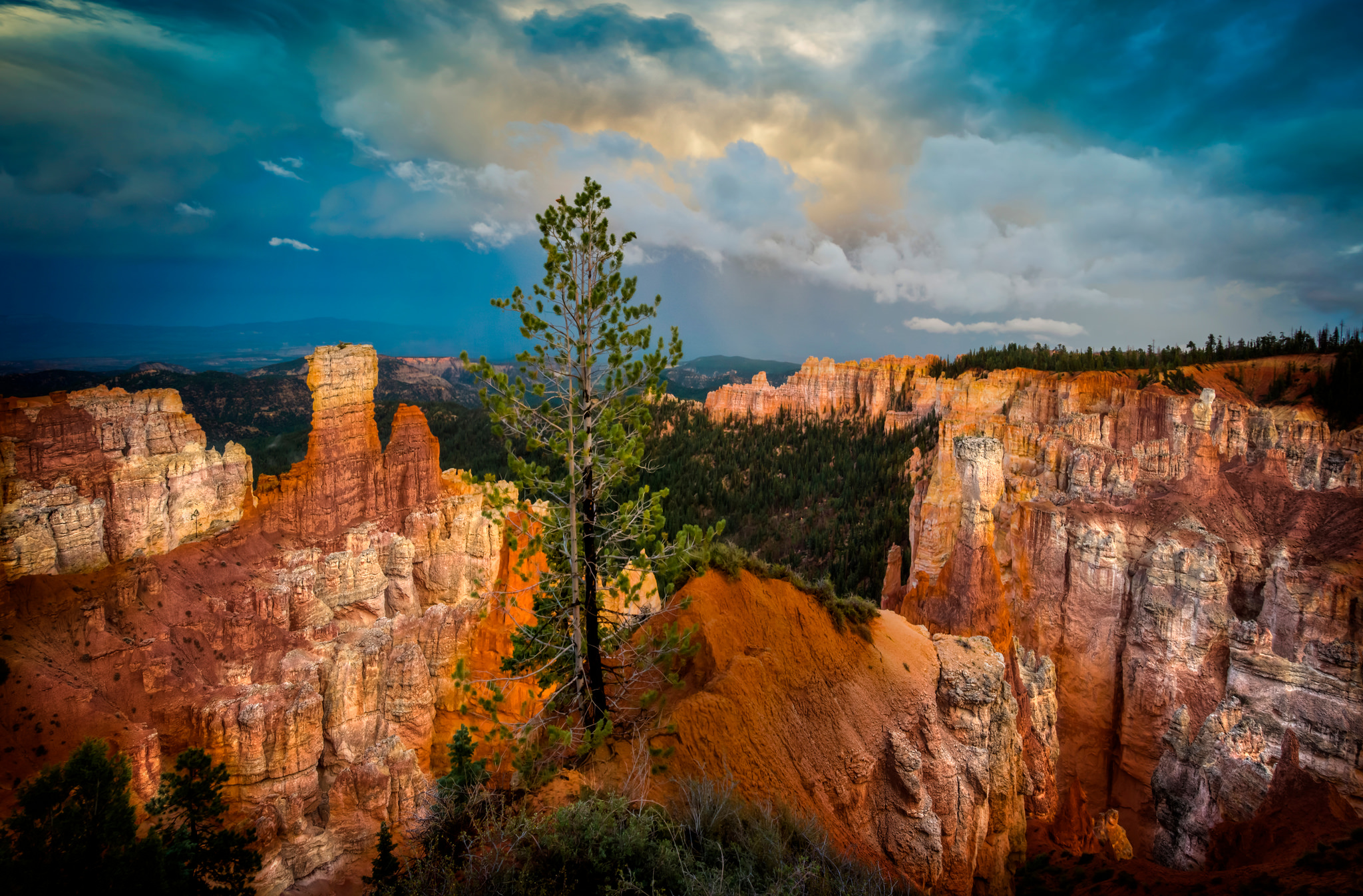 bryce canyon national park, earth, canyon, cloud, nature, tree, utah, national park Smartphone Background