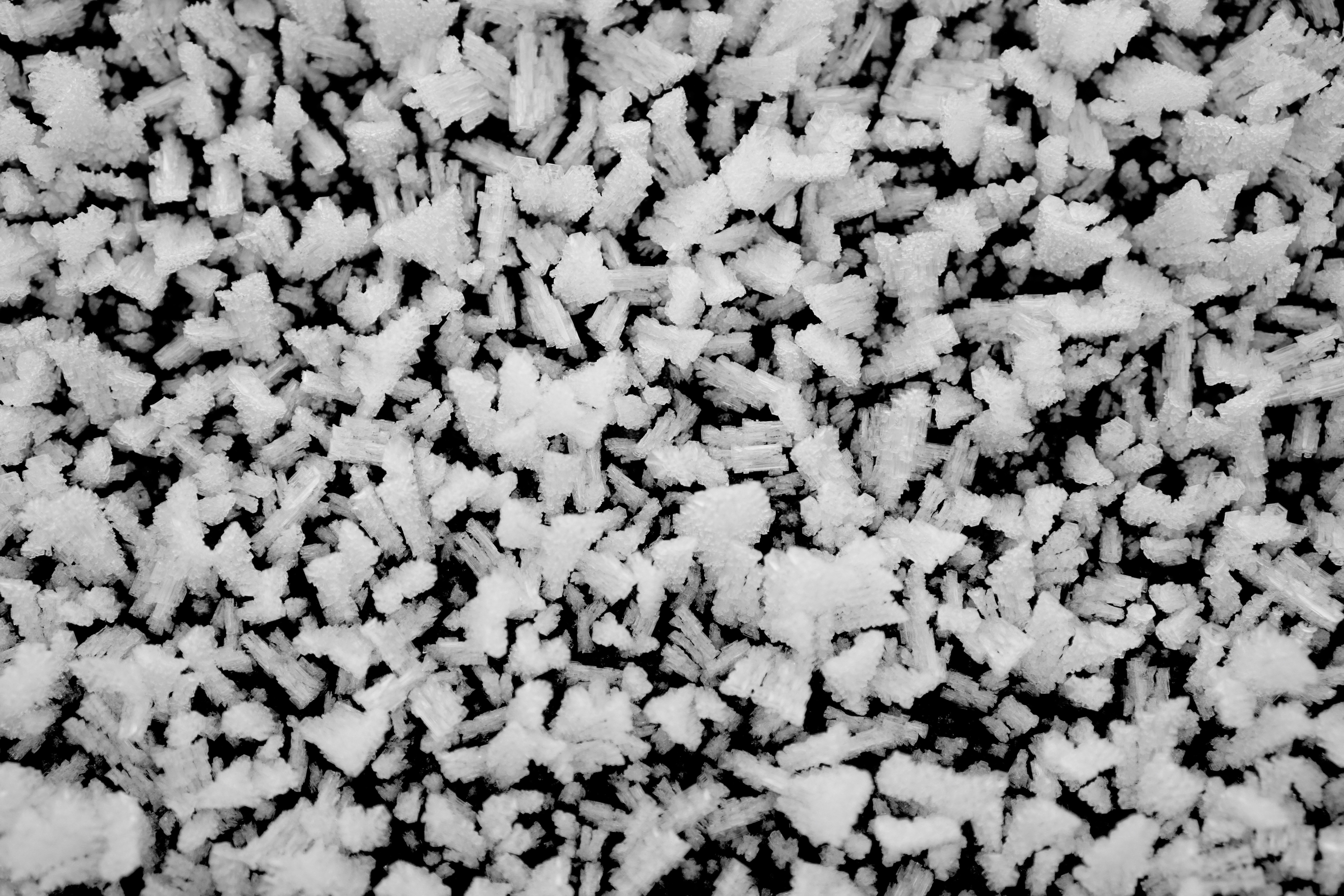 winter, ice, macro, frost, black and white, crystals
