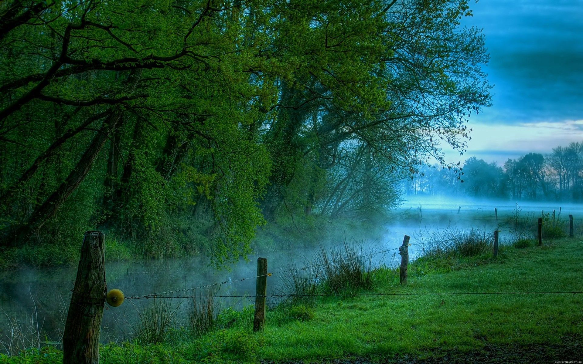 130230 скачать картинку туман, утро, природа, деревья, река, проволока, изгородь - обои и заставки бесплатно