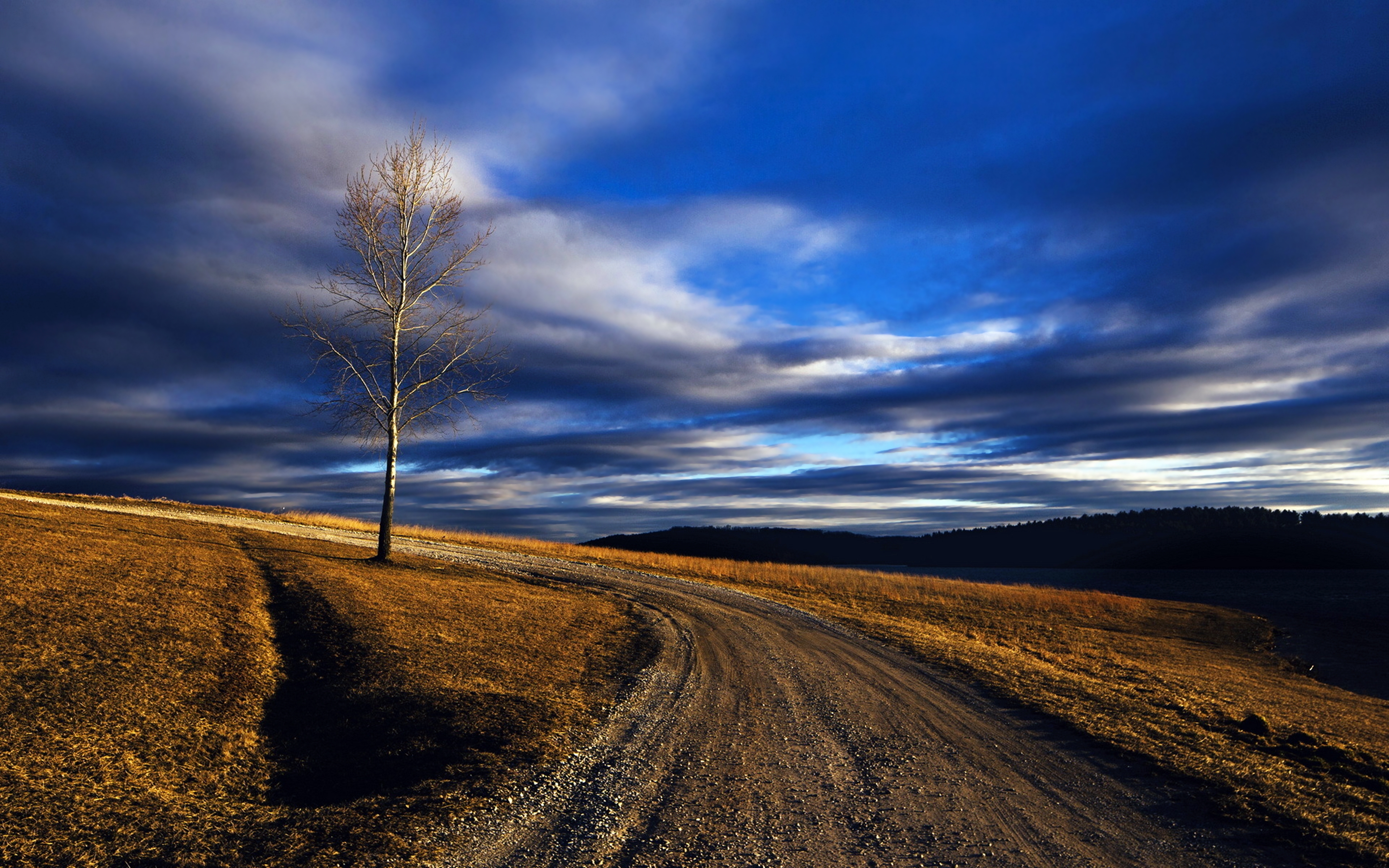 road, landscape, photography, countryside, hill, nature, tree 5K