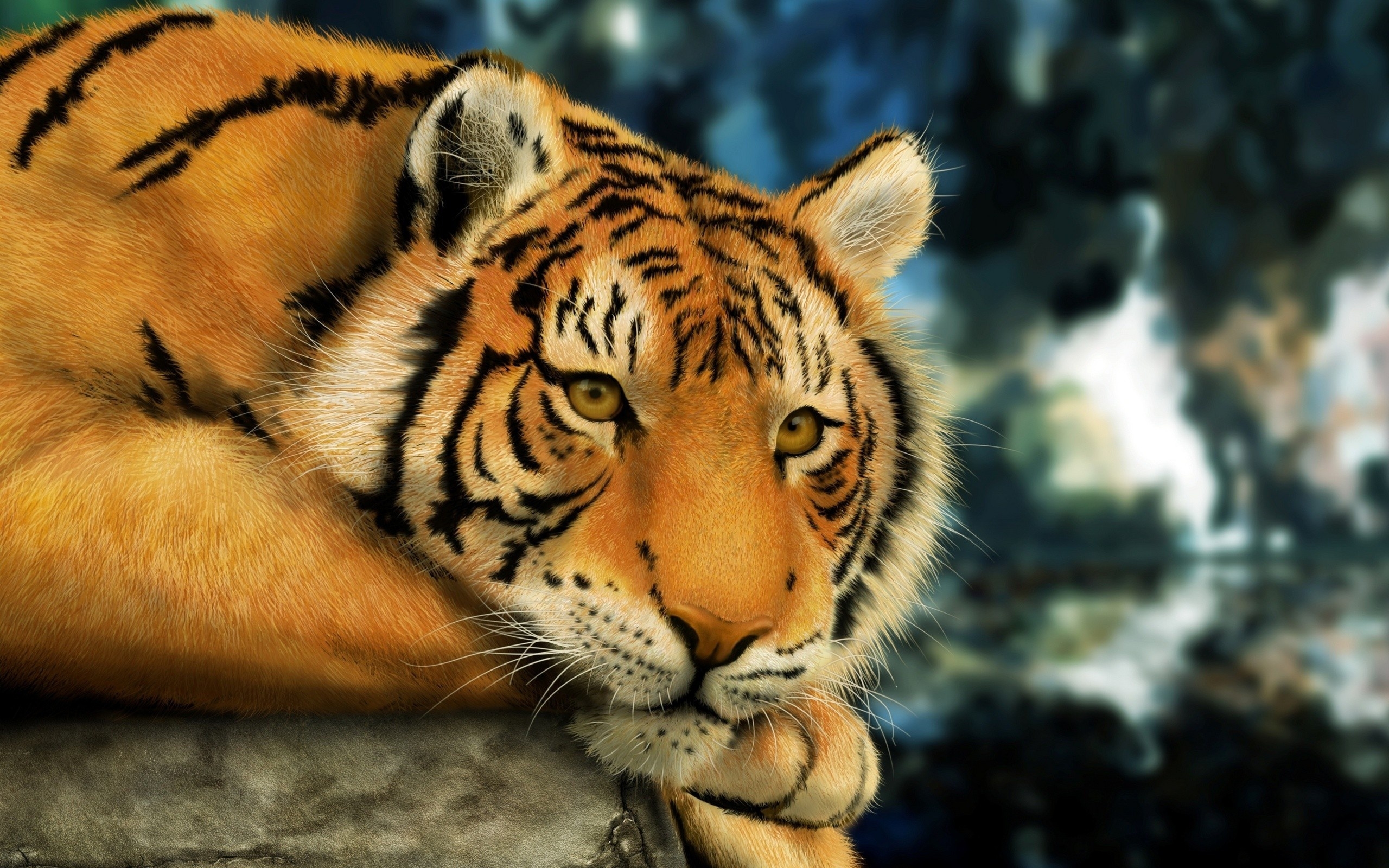 37591 baixar papel de parede tigres, animais - protetores de tela e imagens gratuitamente