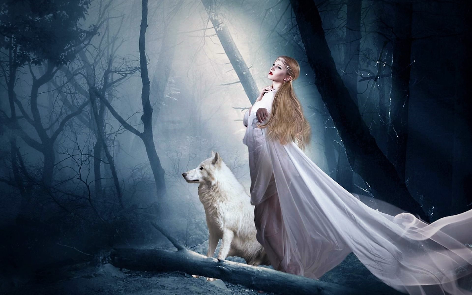 1505621 скачать картинку мистический, животные, волк, лес, белое платье - обои и заставки бесплатно