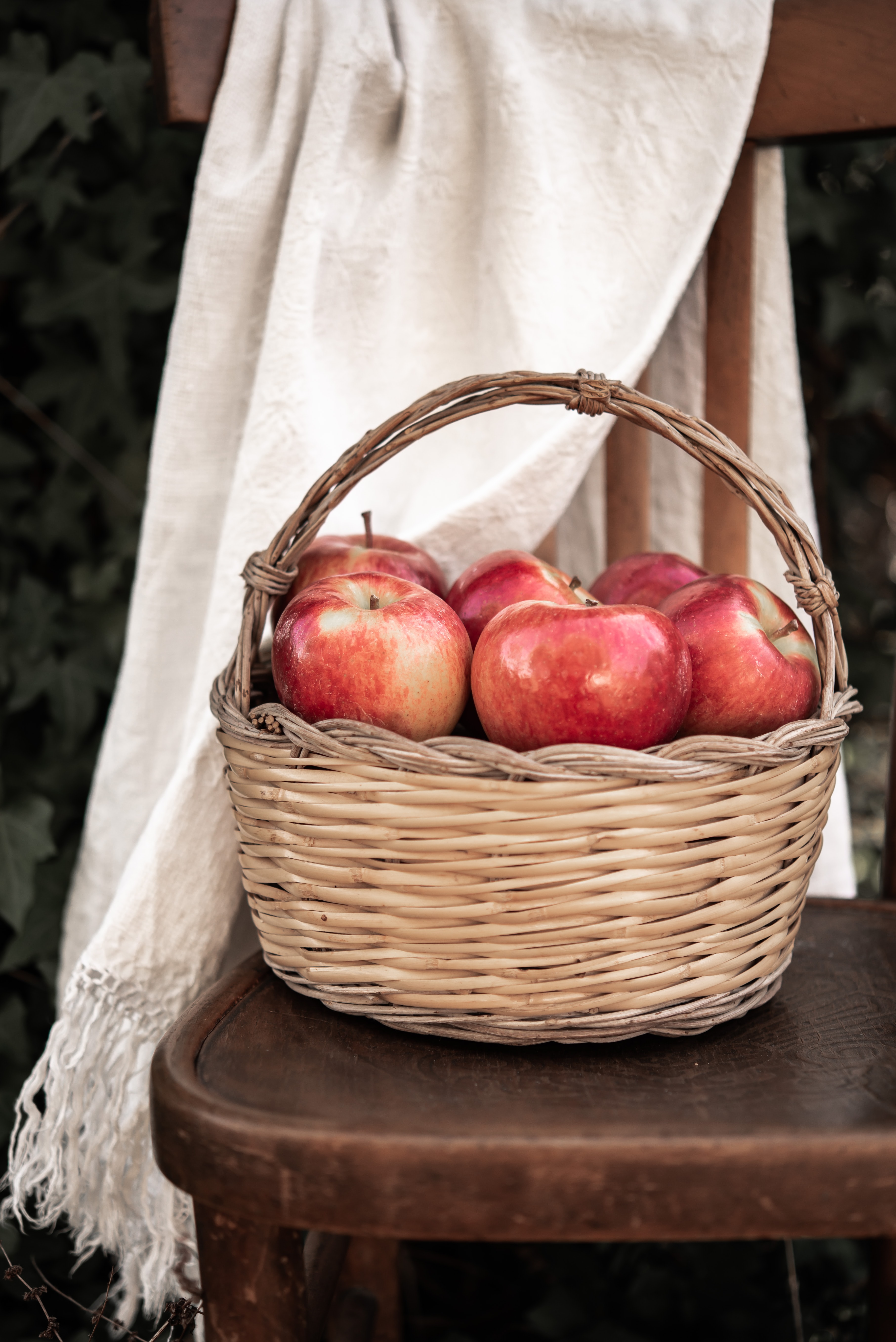 Laden Sie das Lebensmittel, Äpfel, Korb, Obst-Bild kostenlos auf Ihren PC-Desktop herunter