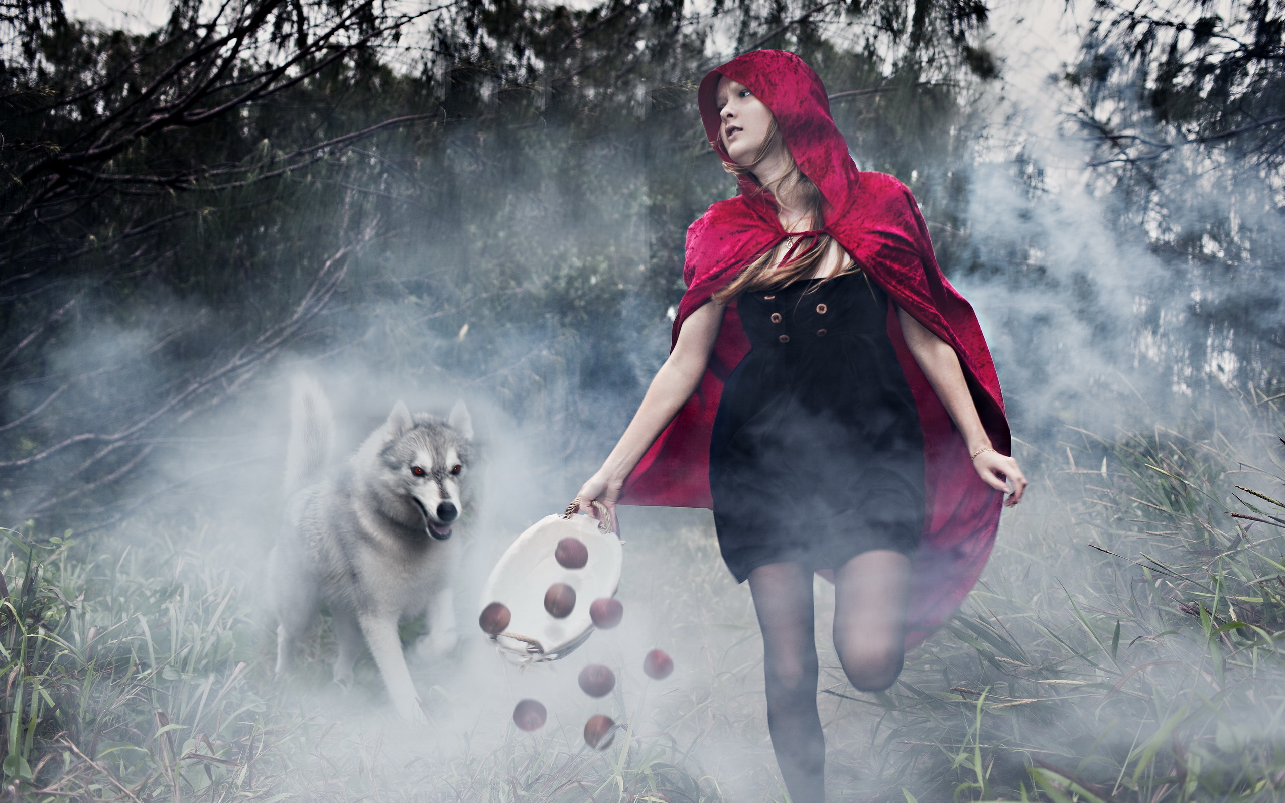 Девушка в Красном и волк