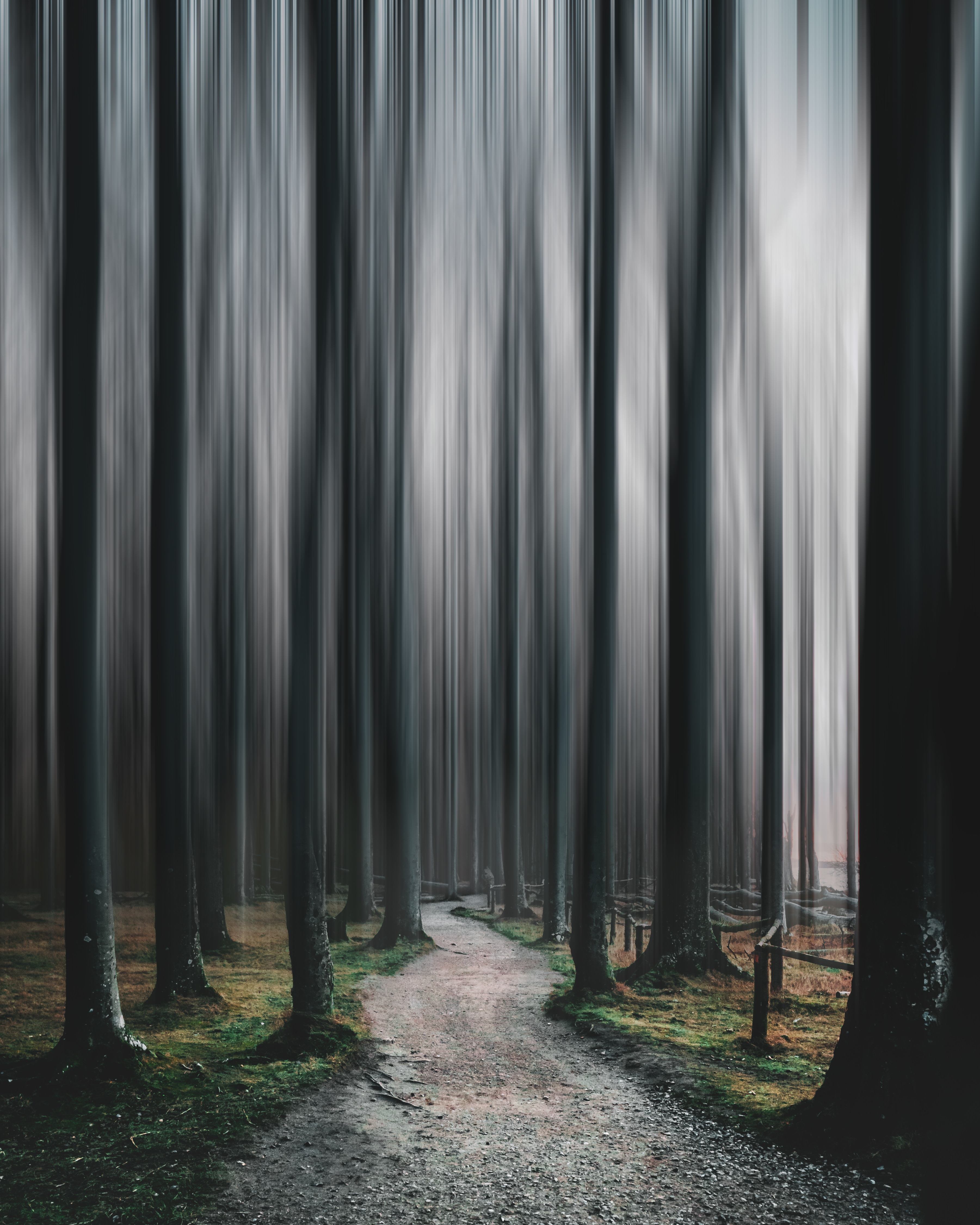 illusion, nature, trees, forest, blur, smooth, path