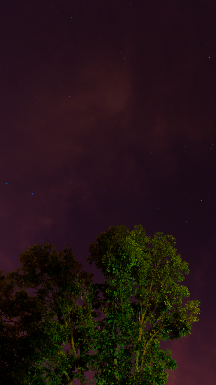 Descarga gratuita de fondo de pantalla para móvil de Cielo, Noche, Tierra/naturaleza.