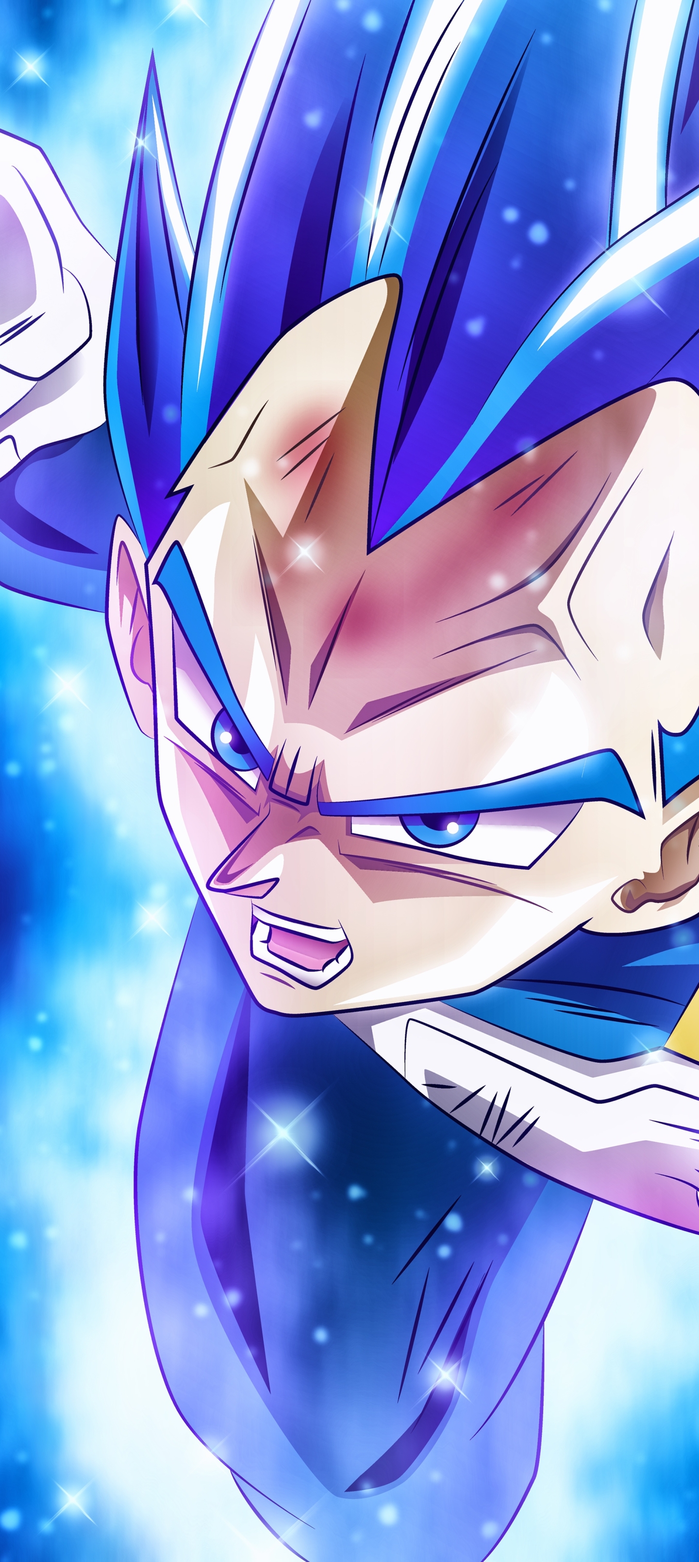 Vegeta, super sayain blue, vegeta blue, HD phone wallpaper