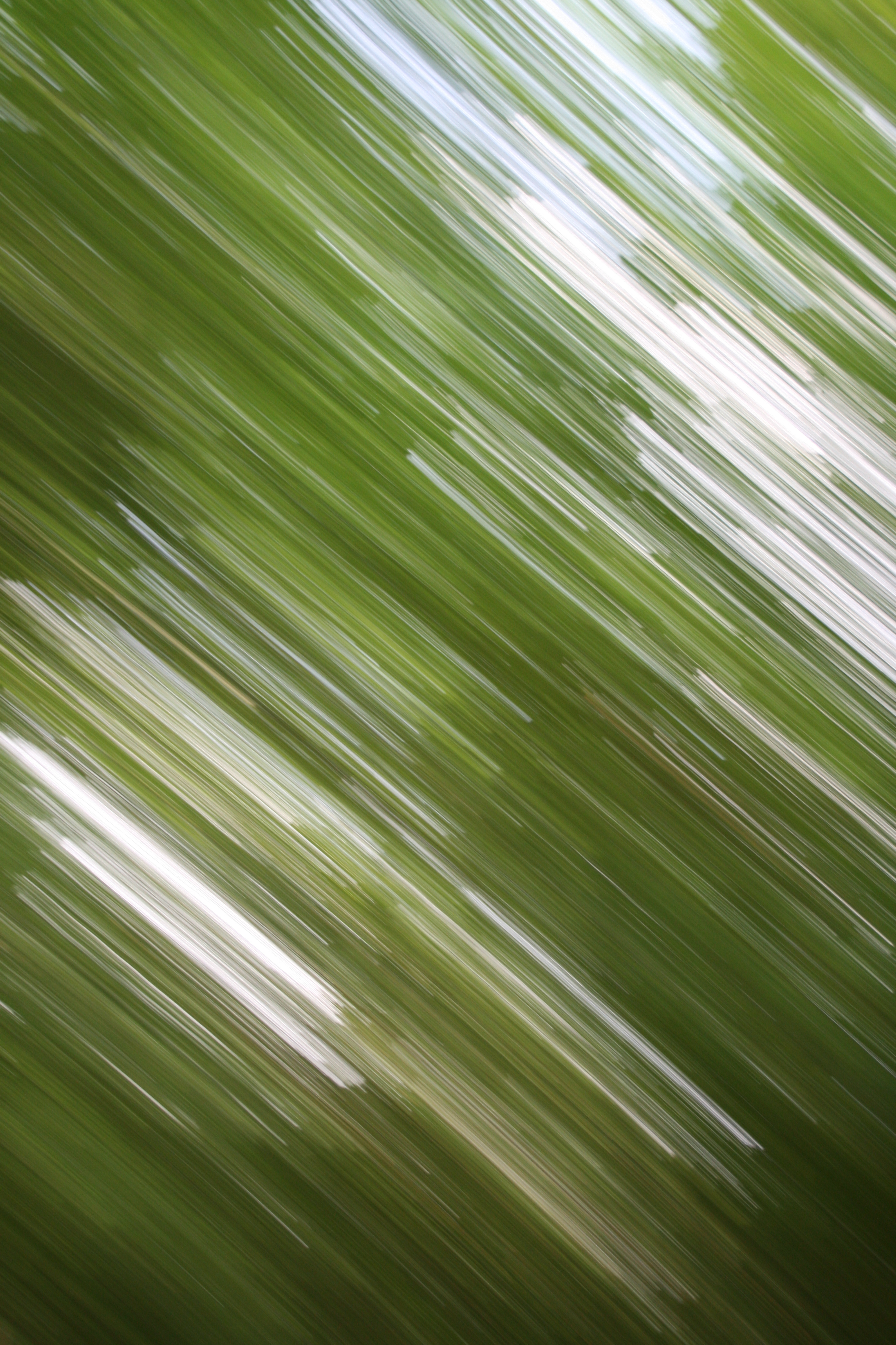 blurred, green, texture, lines, textures, fuzzy, smeared
