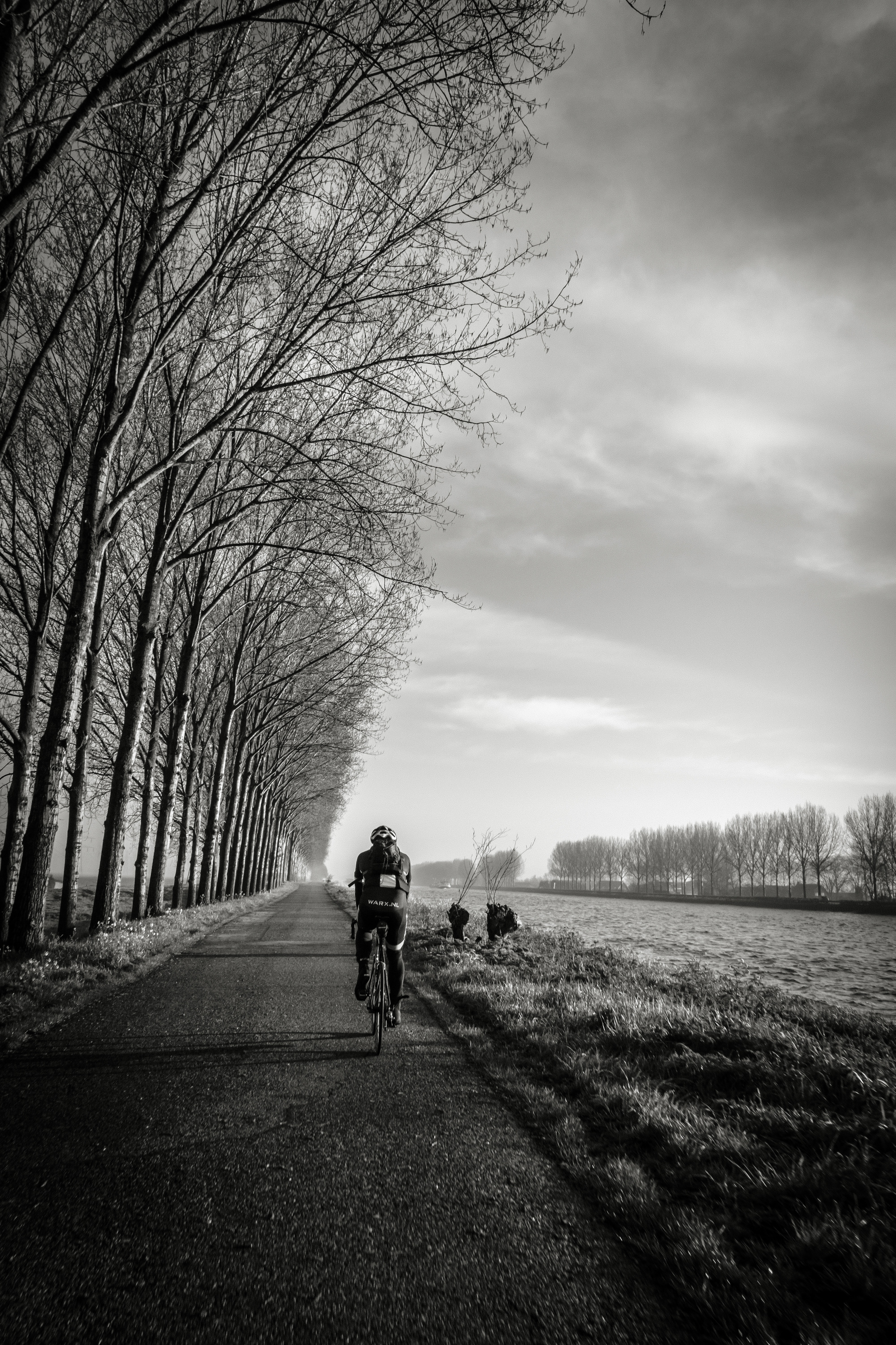 Download mobile wallpaper Traffic, Movement, Road, Chb, Trees, Cyclist, Bw, Sports for free.
