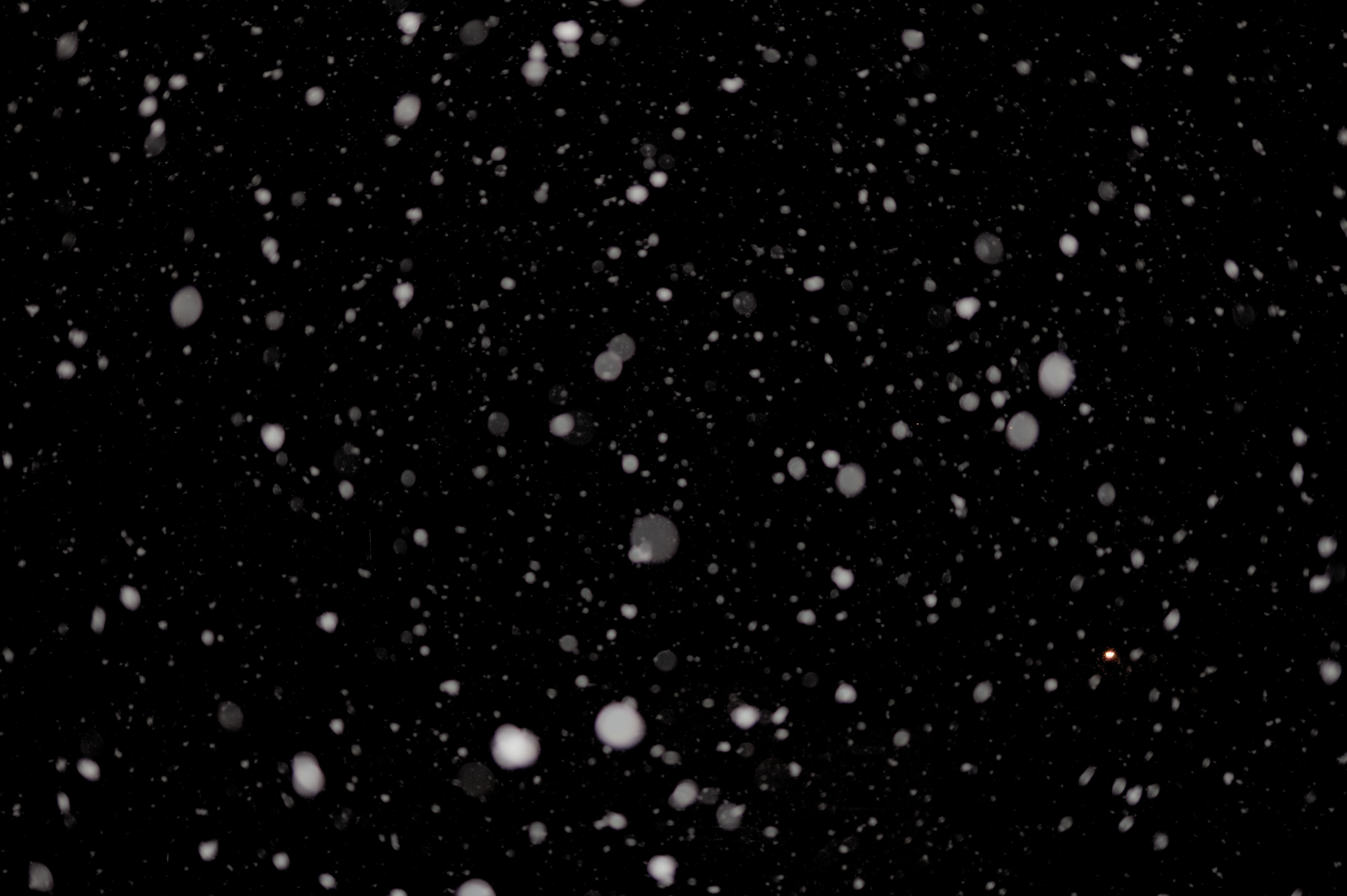 148781 Hintergrundbild herunterladen schwarz, schnee, blendung, das schwarze, punkte, punkt - Bildschirmschoner und Bilder kostenlos