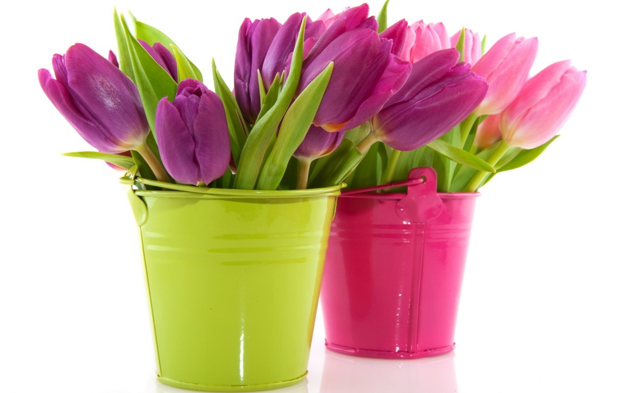 Download mobile wallpaper Plants, Flowers, Bouquets, Tulips for free.