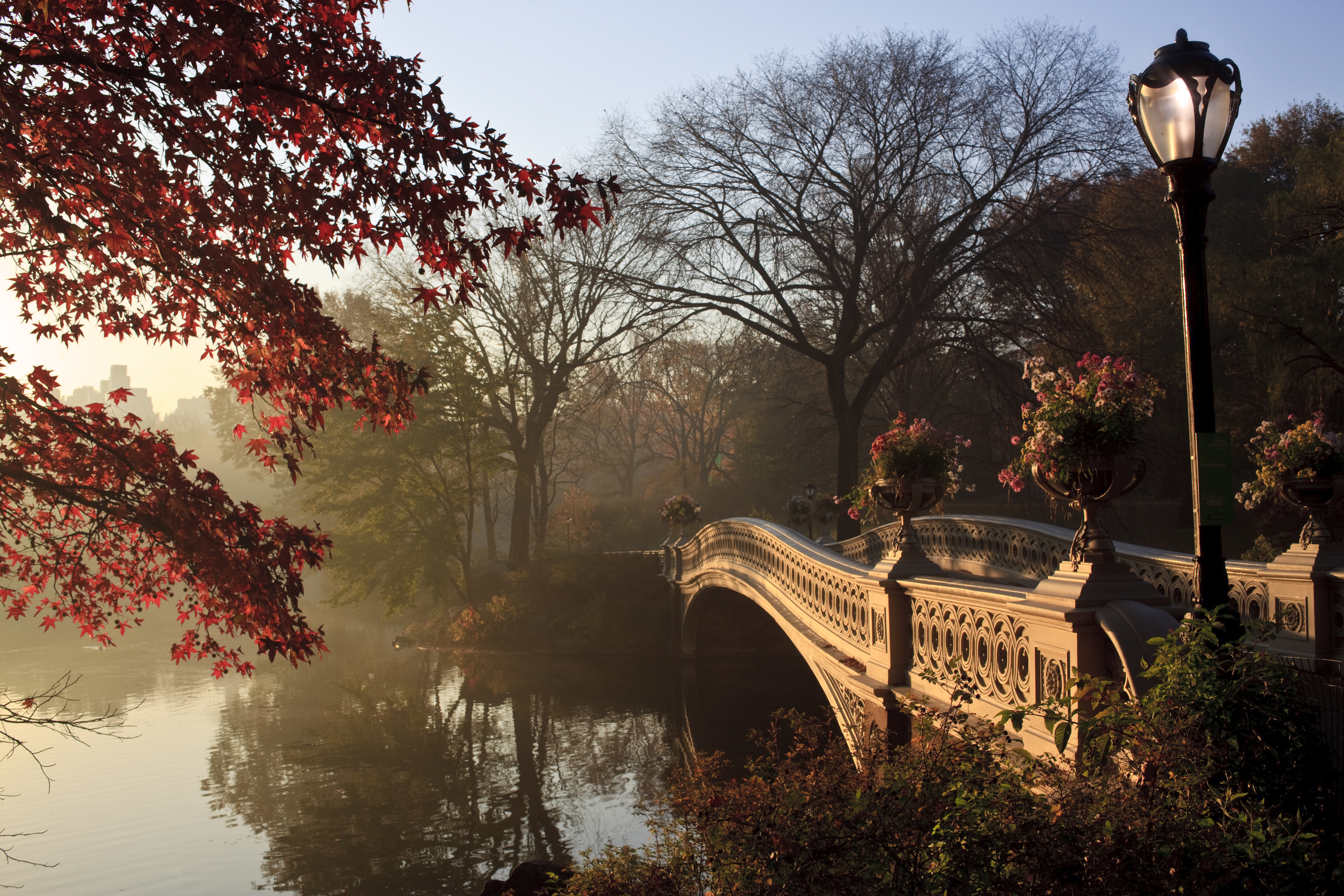 central park, man made, bow bridge, bridge, fall, new york High Definition image