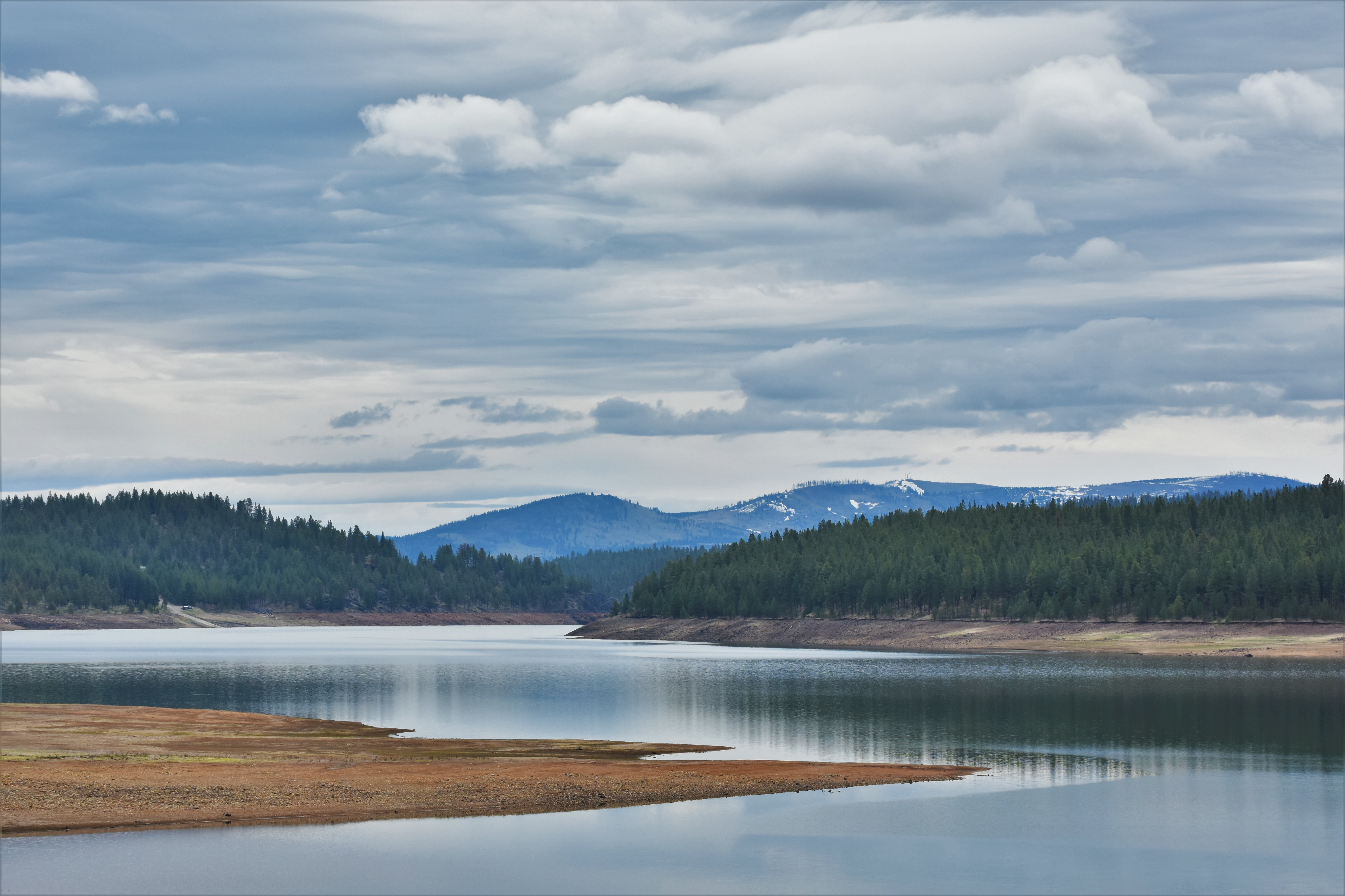 Лесное озеро. Озеро в холмах. Coast with Forest.