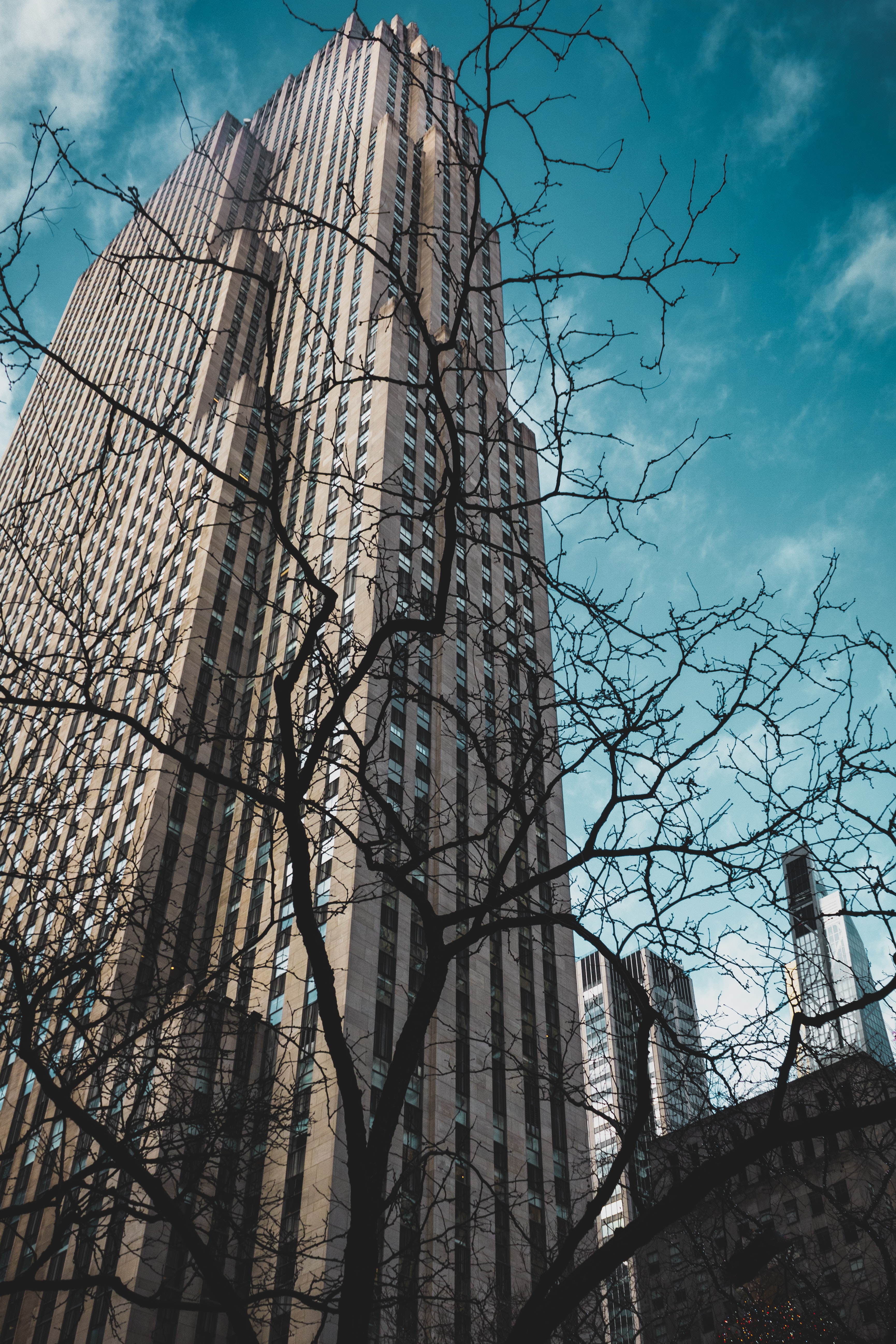 cities, city, building, branches, bottom view Panoramic Wallpaper