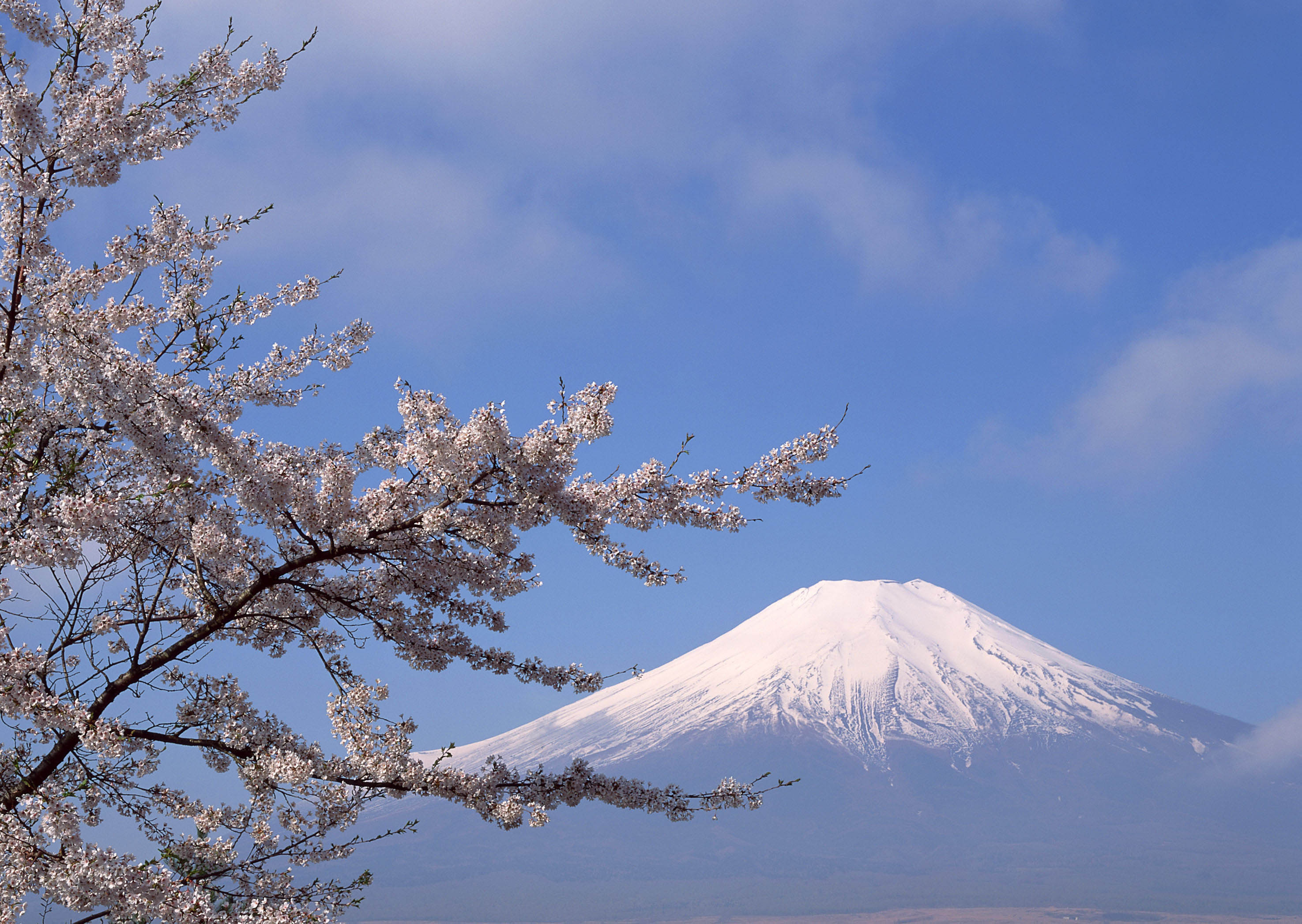 171265壁紙のダウンロード富士山, 地球, 山, 火山-スクリーンセーバーと写真を無料で