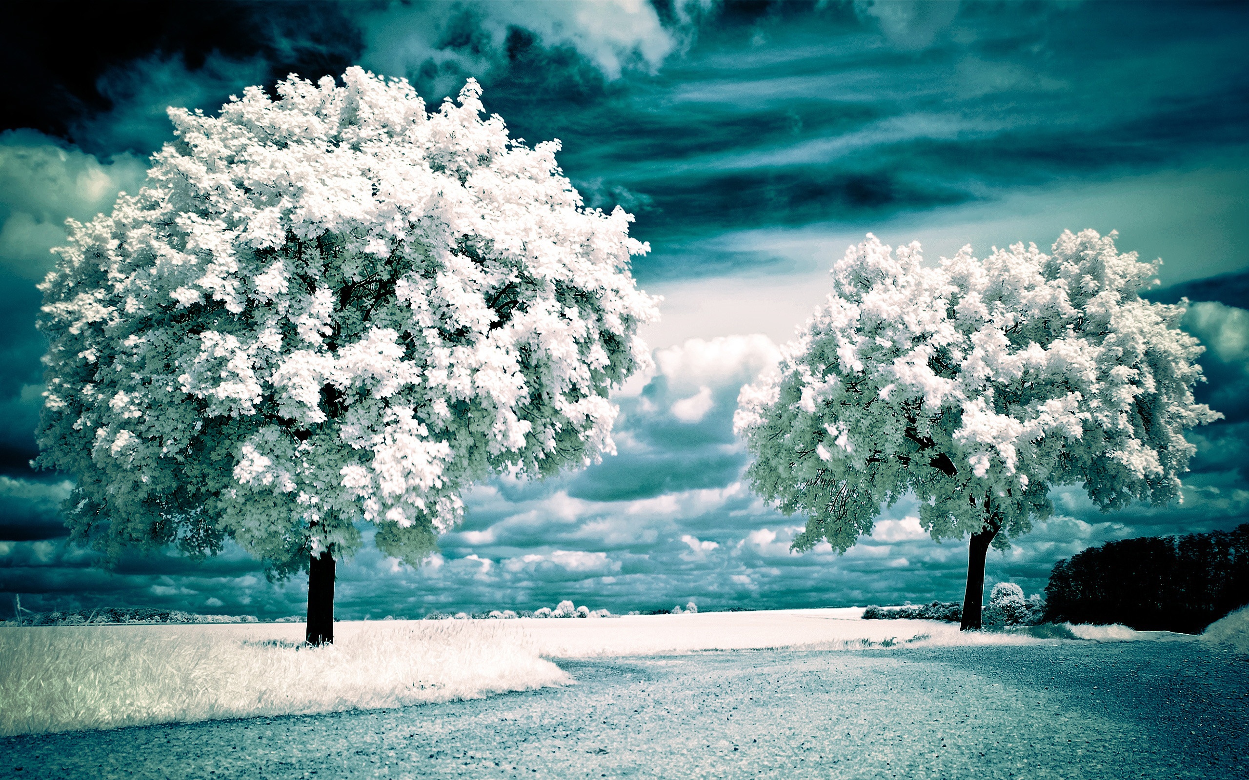 snow, winter, earth, scenic mobile wallpaper