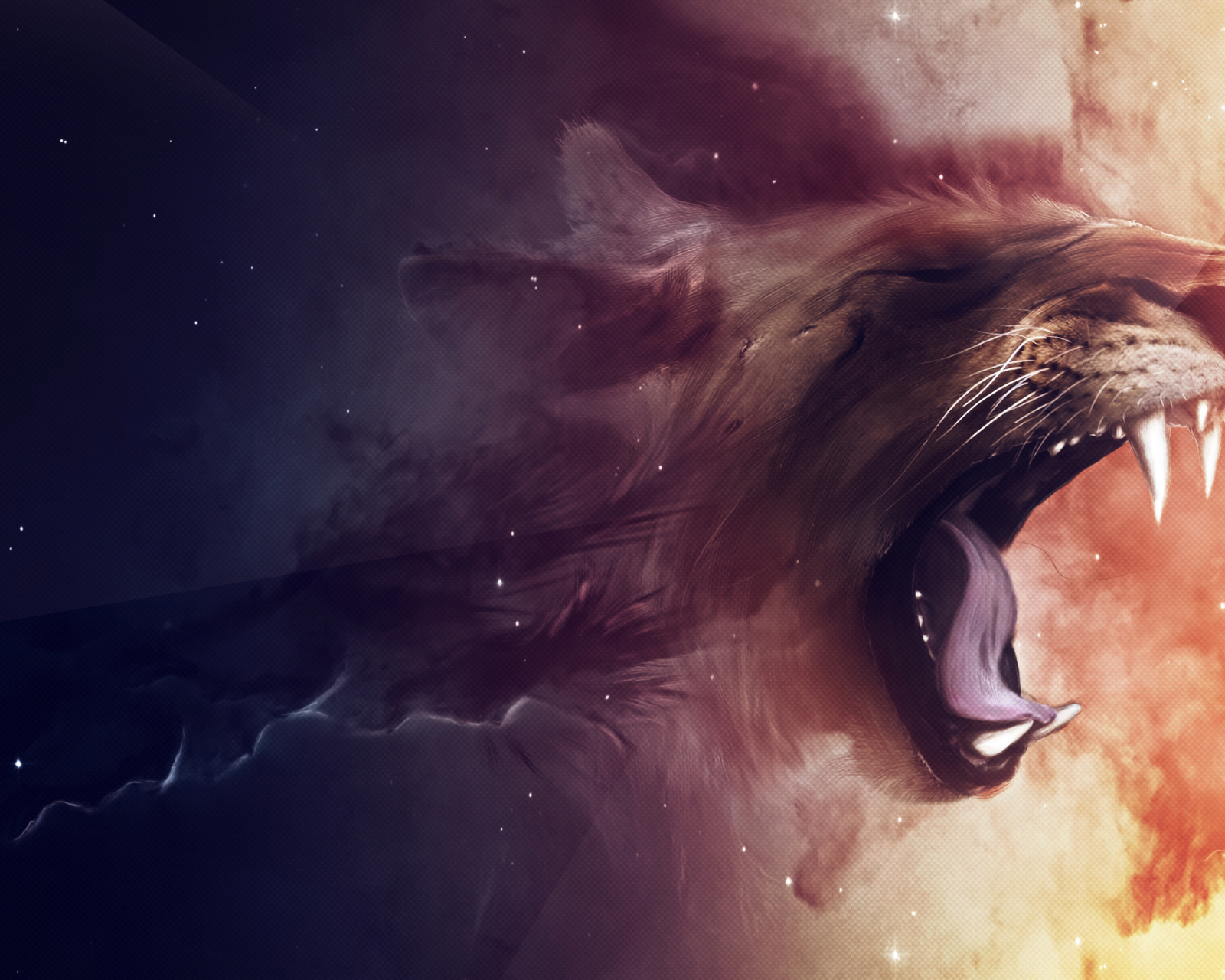 animal, lion, yawn, cats wallpapers for tablet