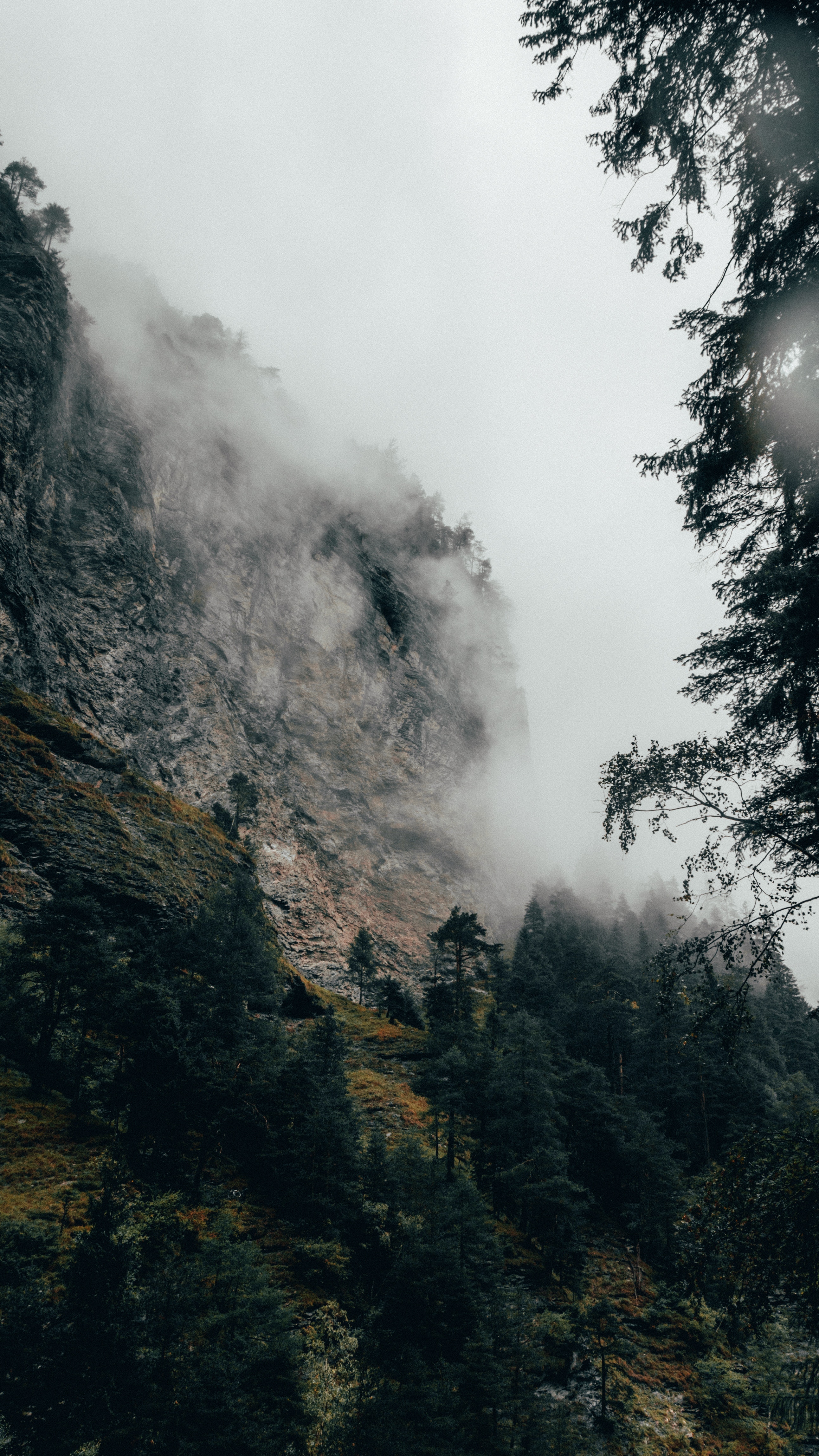 Download mobile wallpaper Slope, Nature, Trees, Fog, Mountain, Switzerland for free.