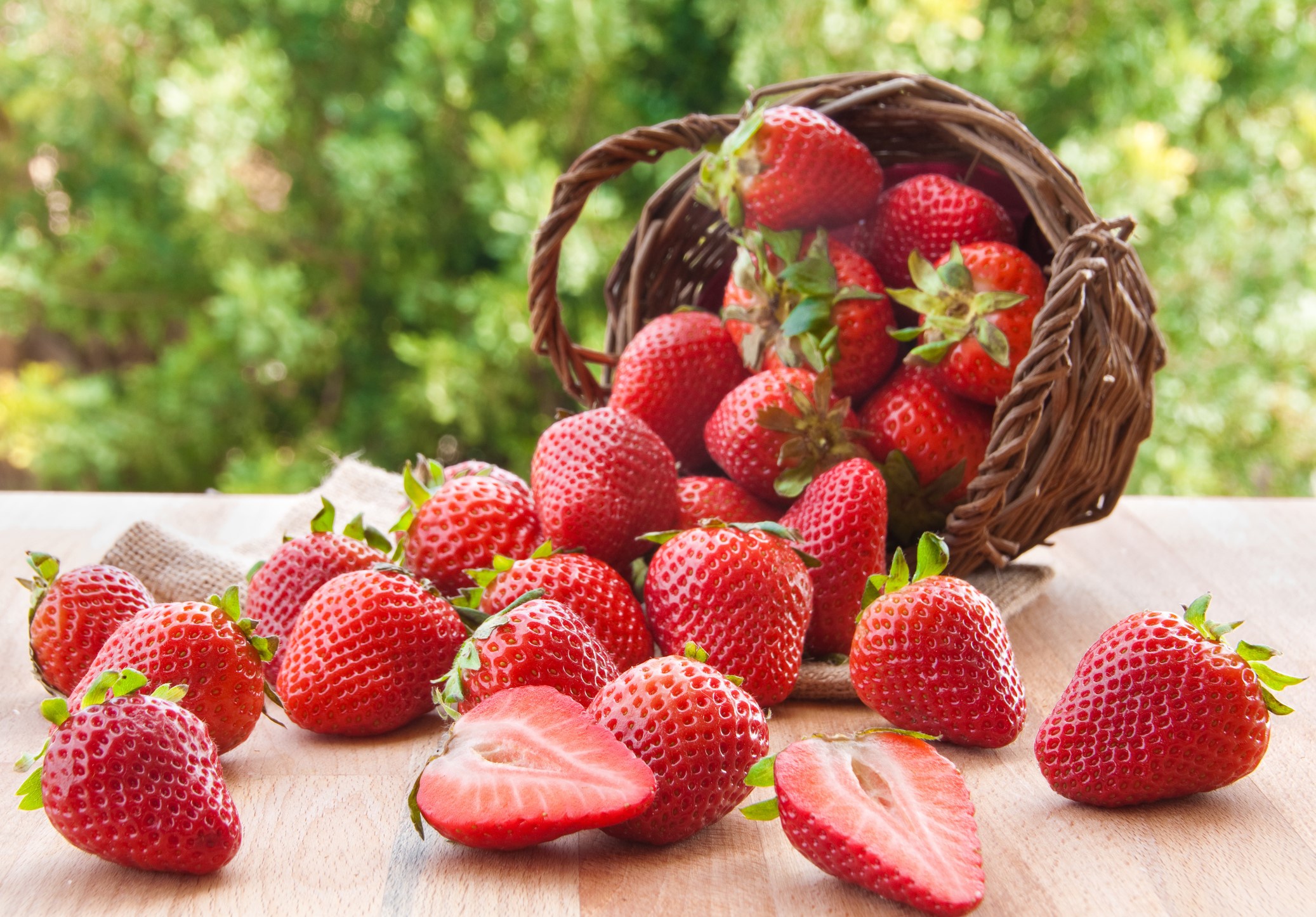 Strawberry. Клубника. Разного поля ягоды. ЛФ клубника в сахаре.