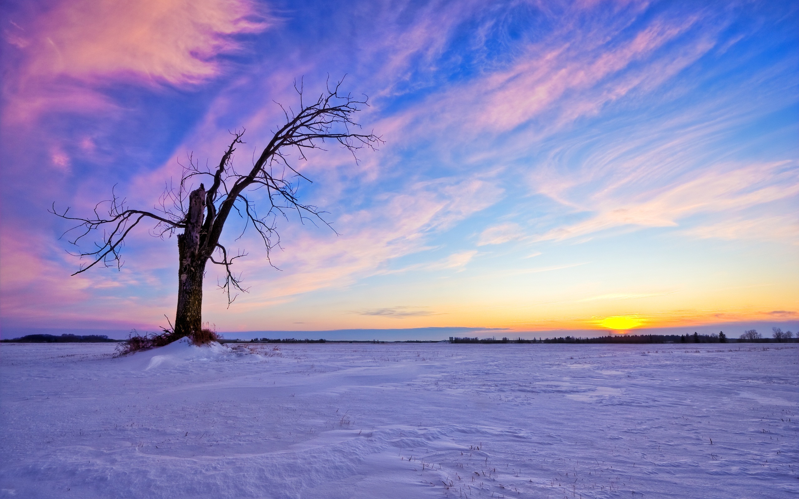 Download mobile wallpaper Winter, Landscape, Trees, Sunset for free.