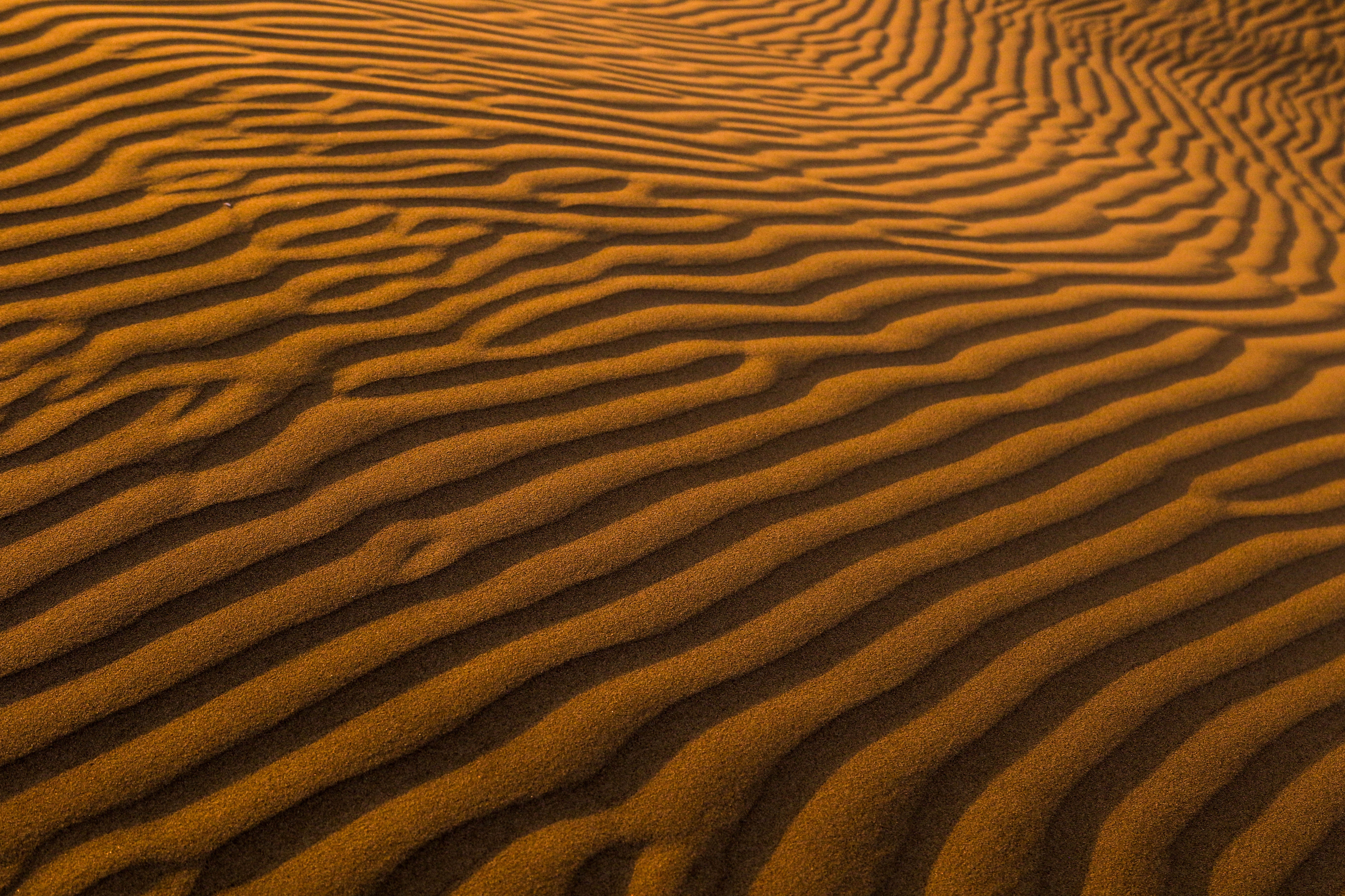 145894 Hintergrundbild herunterladen sand, wüste, natur, oberfläche - Bildschirmschoner und Bilder kostenlos