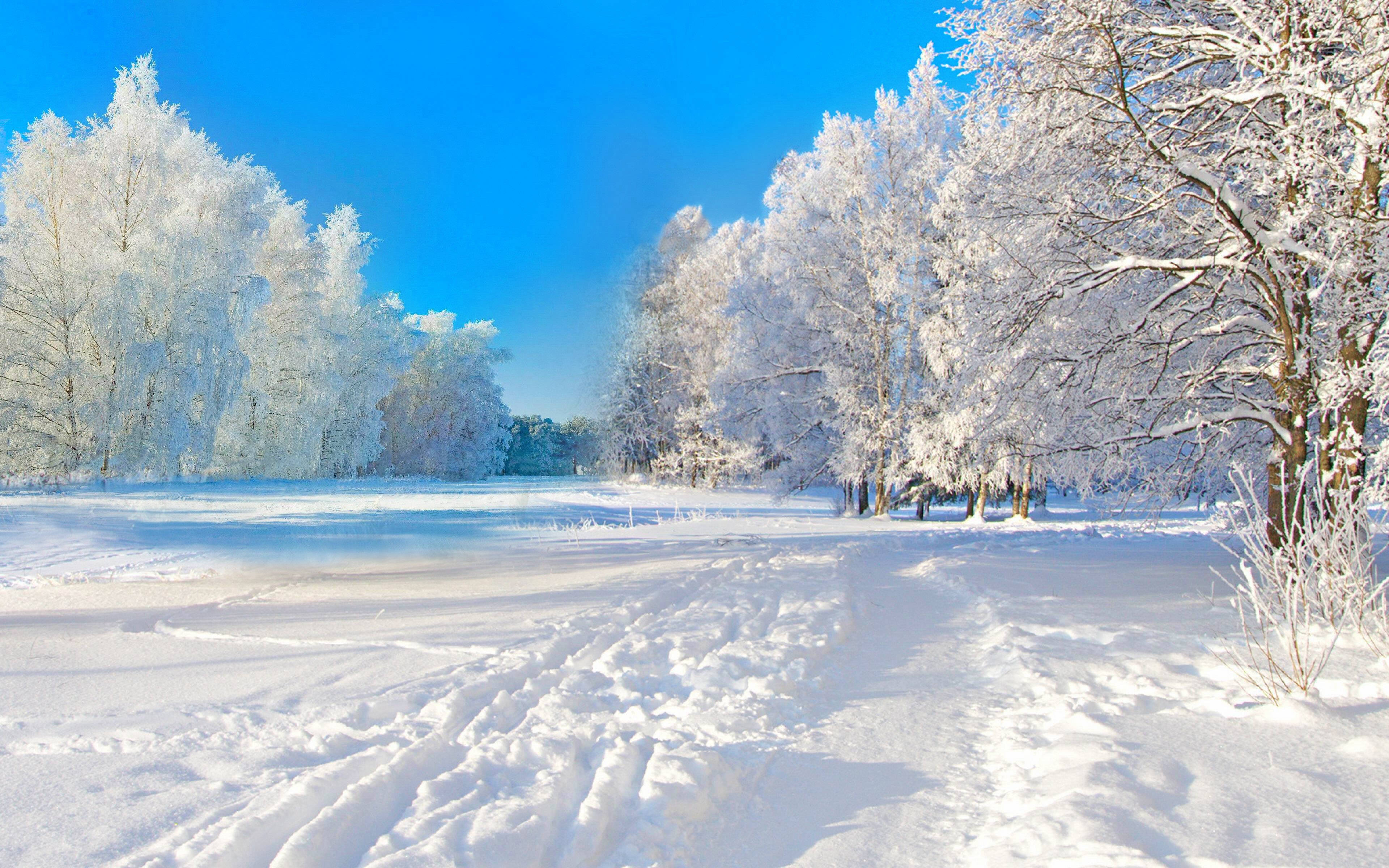 1494300 Hintergrundbild herunterladen schnee, winter, blau, erde/natur, szenisch, baum - Bildschirmschoner und Bilder kostenlos