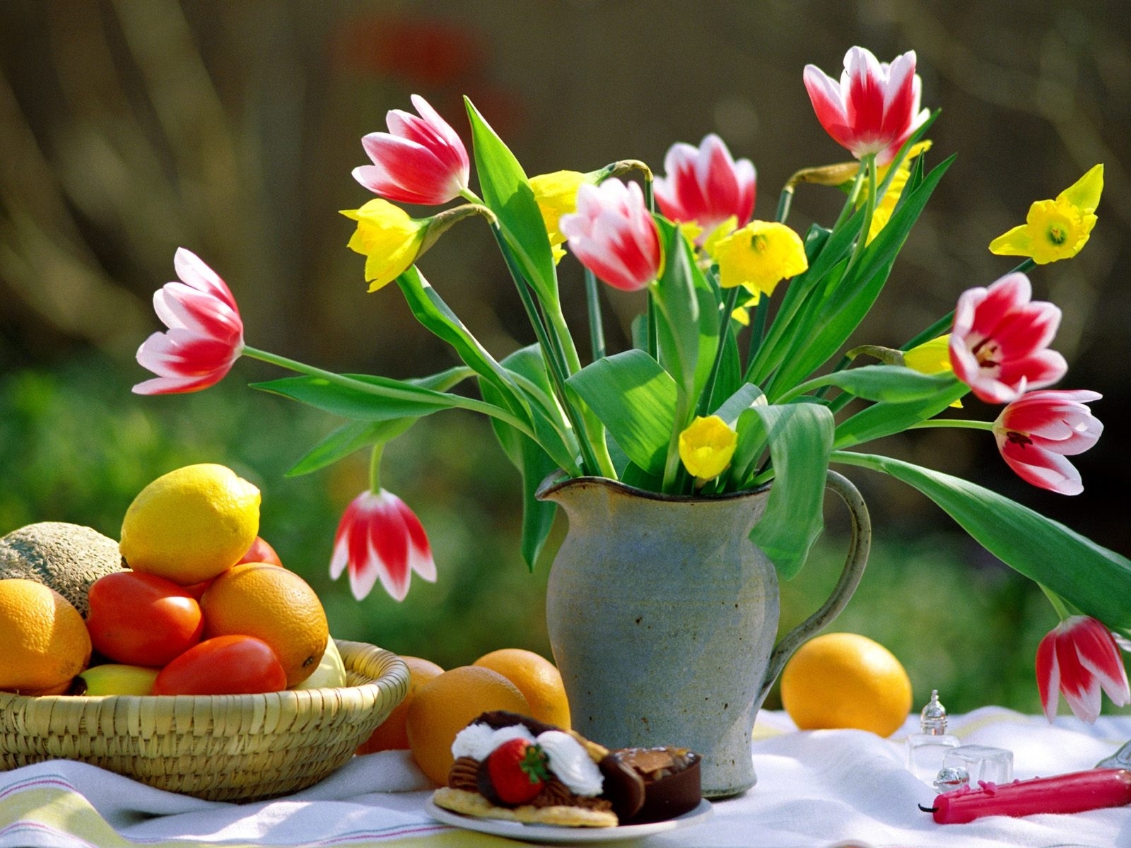 Handy-Wallpaper Blumen, Pflanzen, Tulpen kostenlos herunterladen.