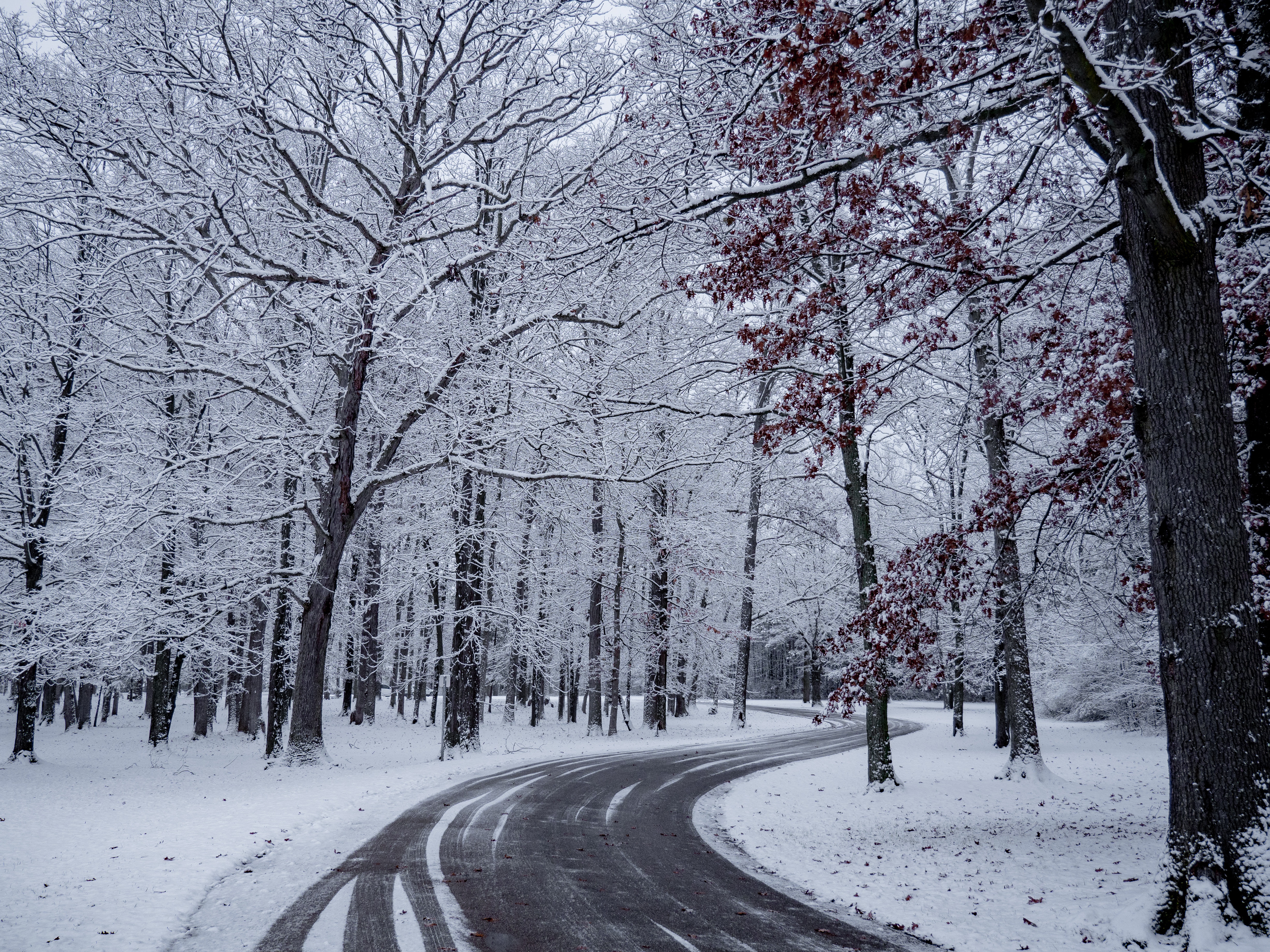 93054 скачать обои зима, природа, деревья, снег, дорога, поворот - заставки и картинки бесплатно