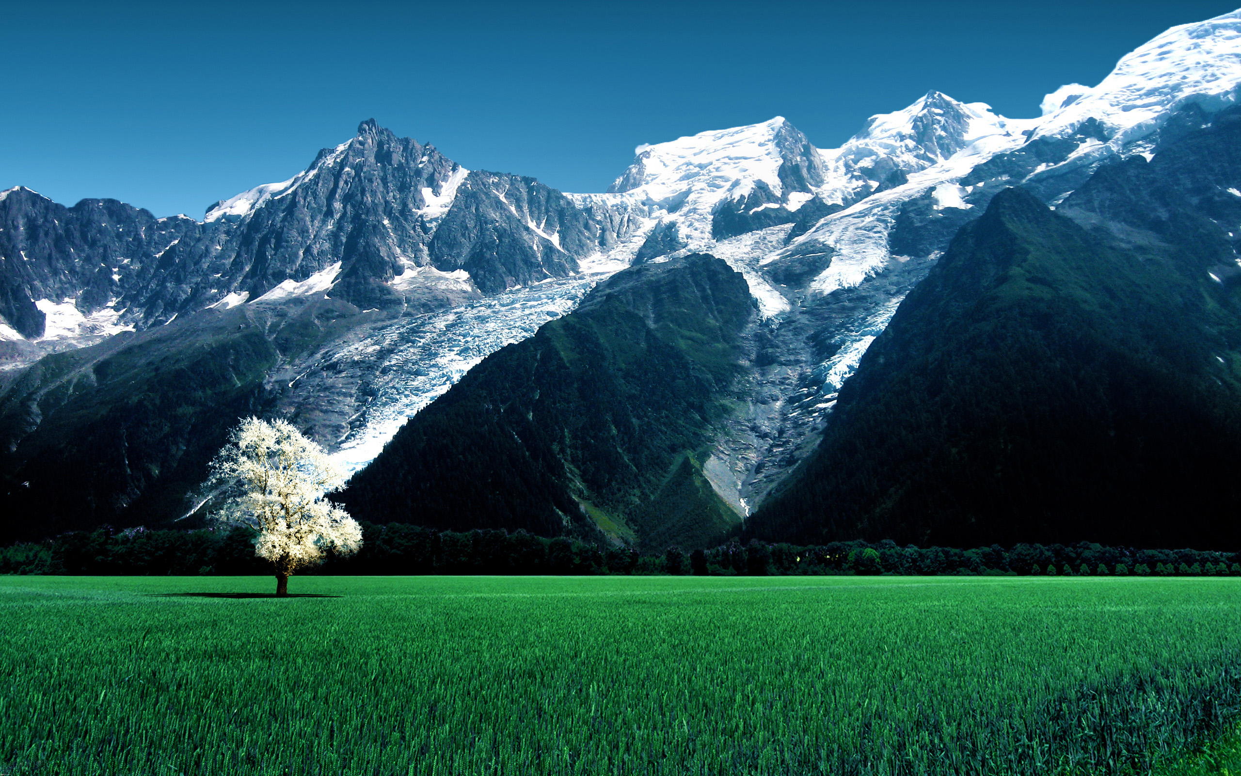 Швейцария Альпы пейзаж